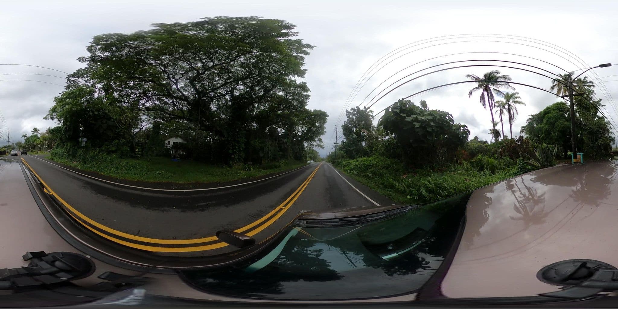 Street view near Maureen's Bed & Breakfast, Hilo — © quickness805 (CC BY-SA · Mapillary)