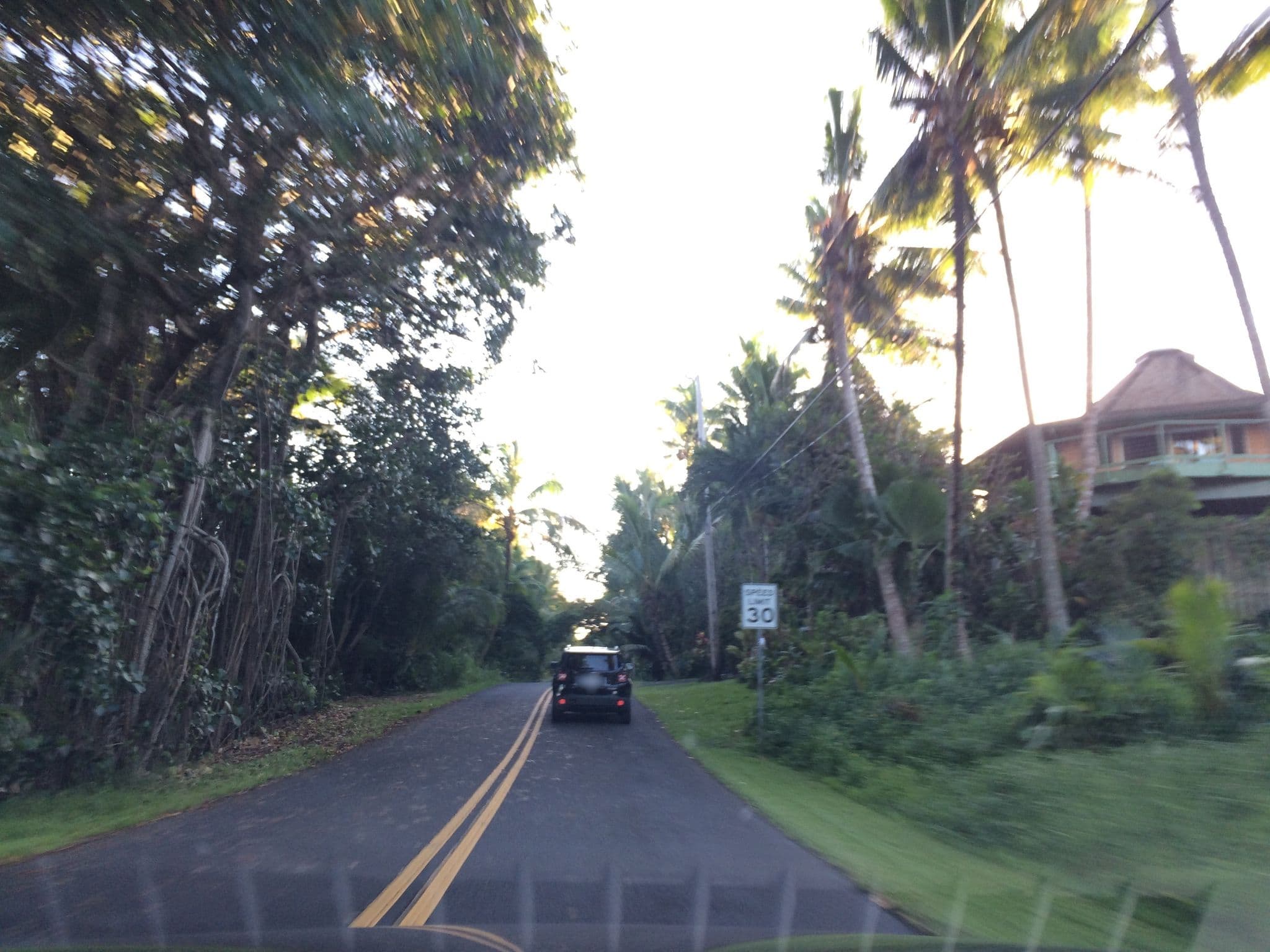 Street view near The Bali House & Bali Cottage at Kehena Beach, Leilani Estates — © radnaj (CC BY-SA · Mapillary)