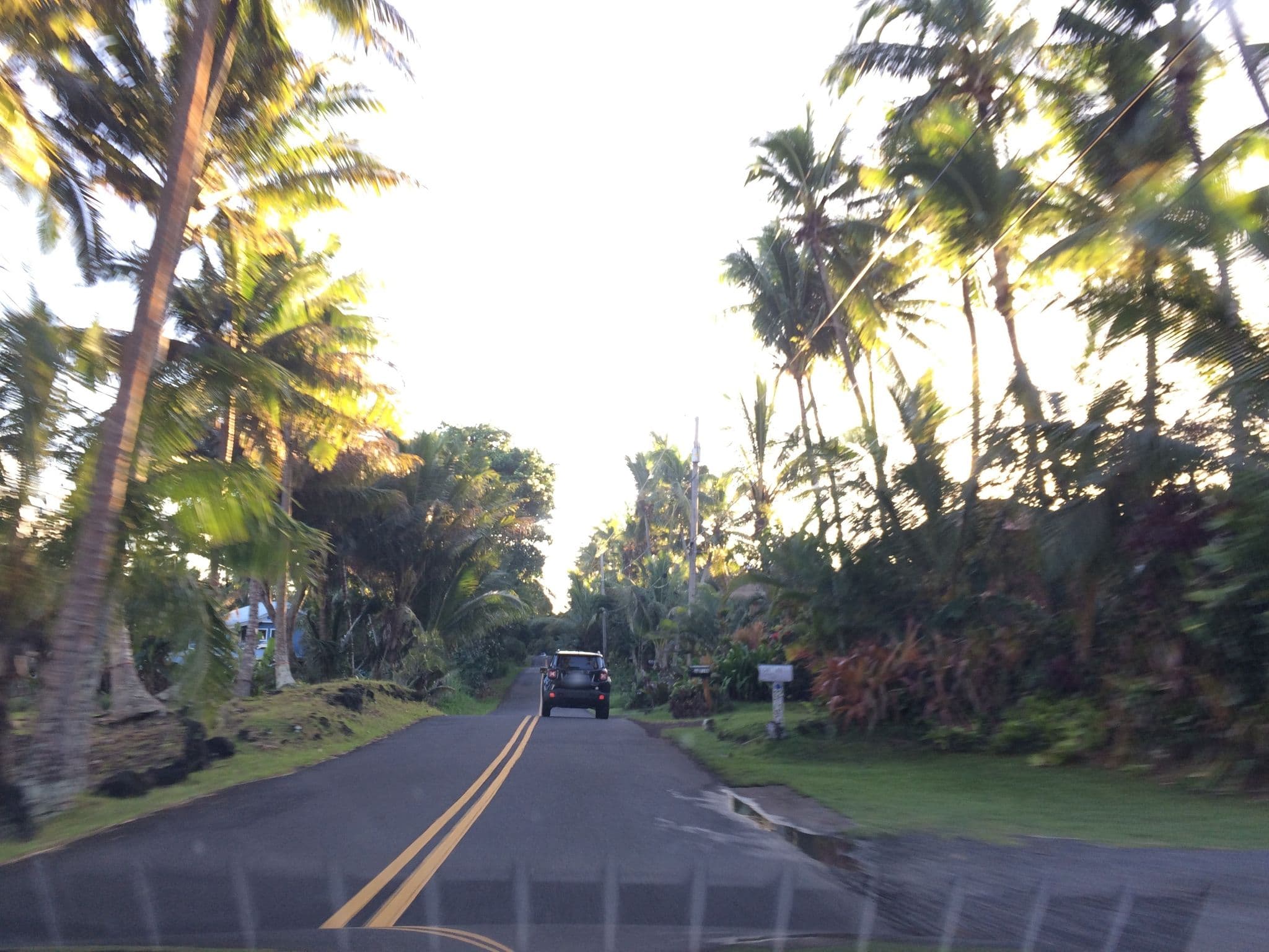 Street view near Whale House @ Kehena Beach Cottages, Leilani Estates — © radnaj (CC BY-SA · Mapillary)