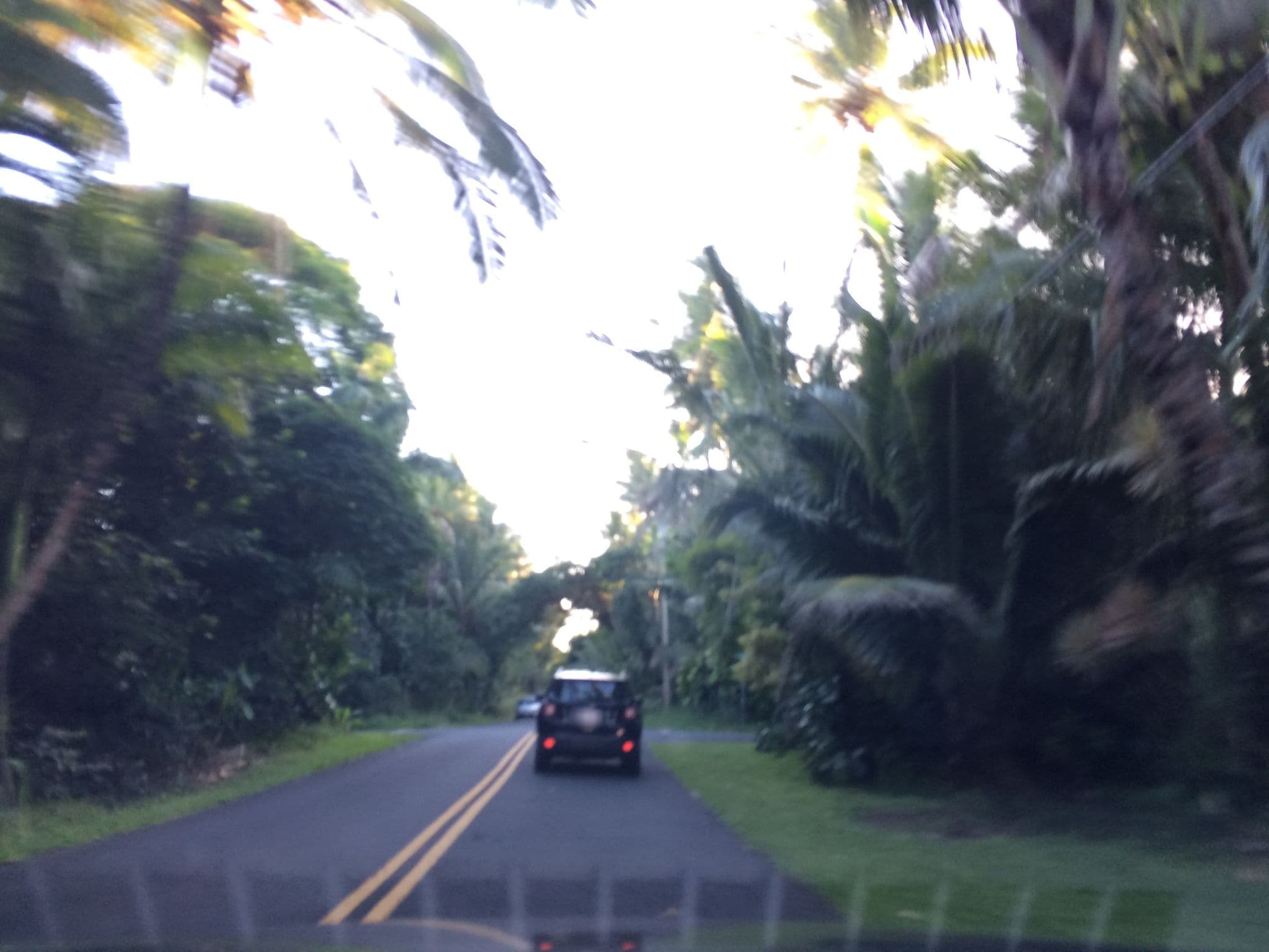 Street view near Ramashala Retreat, Leilani Estates — © radnaj (CC BY-SA · Mapillary)