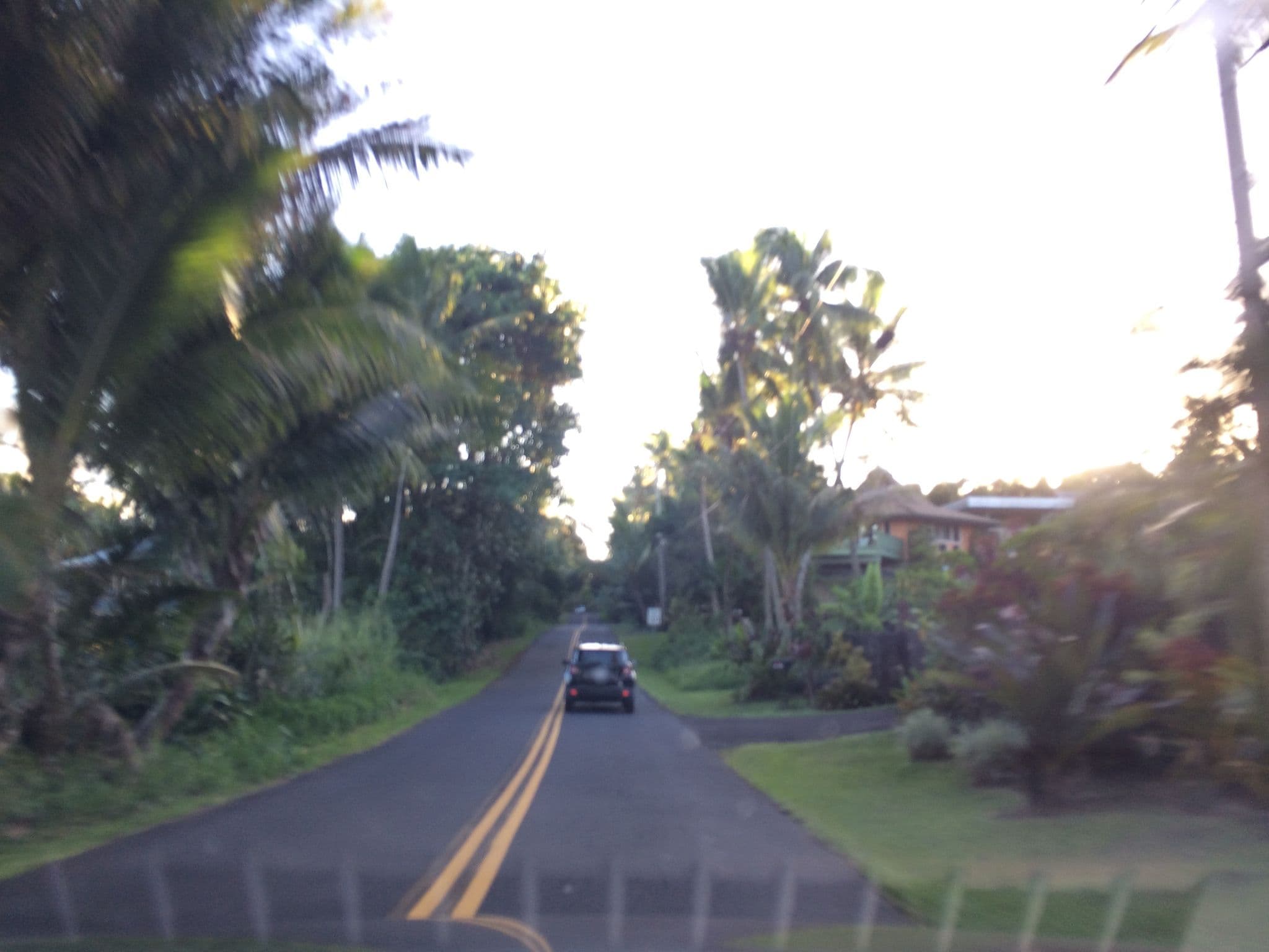 Street view near Bali Cottage, Leilani Estates — © radnaj (CC BY-SA · Mapillary)