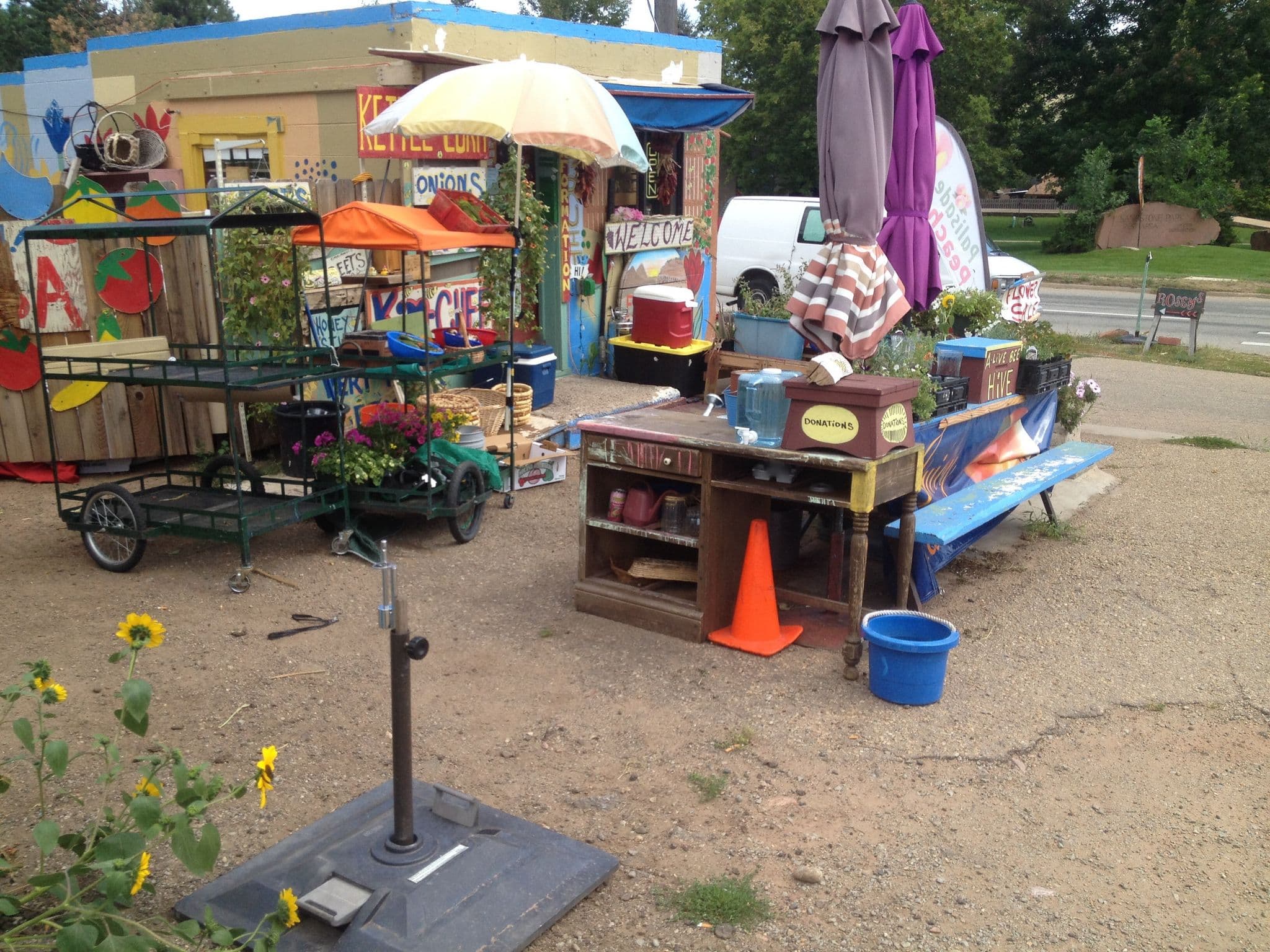 Street view near Festivarie Inn, Longmont — © dgrinbergs (CC BY-SA · Mapillary)