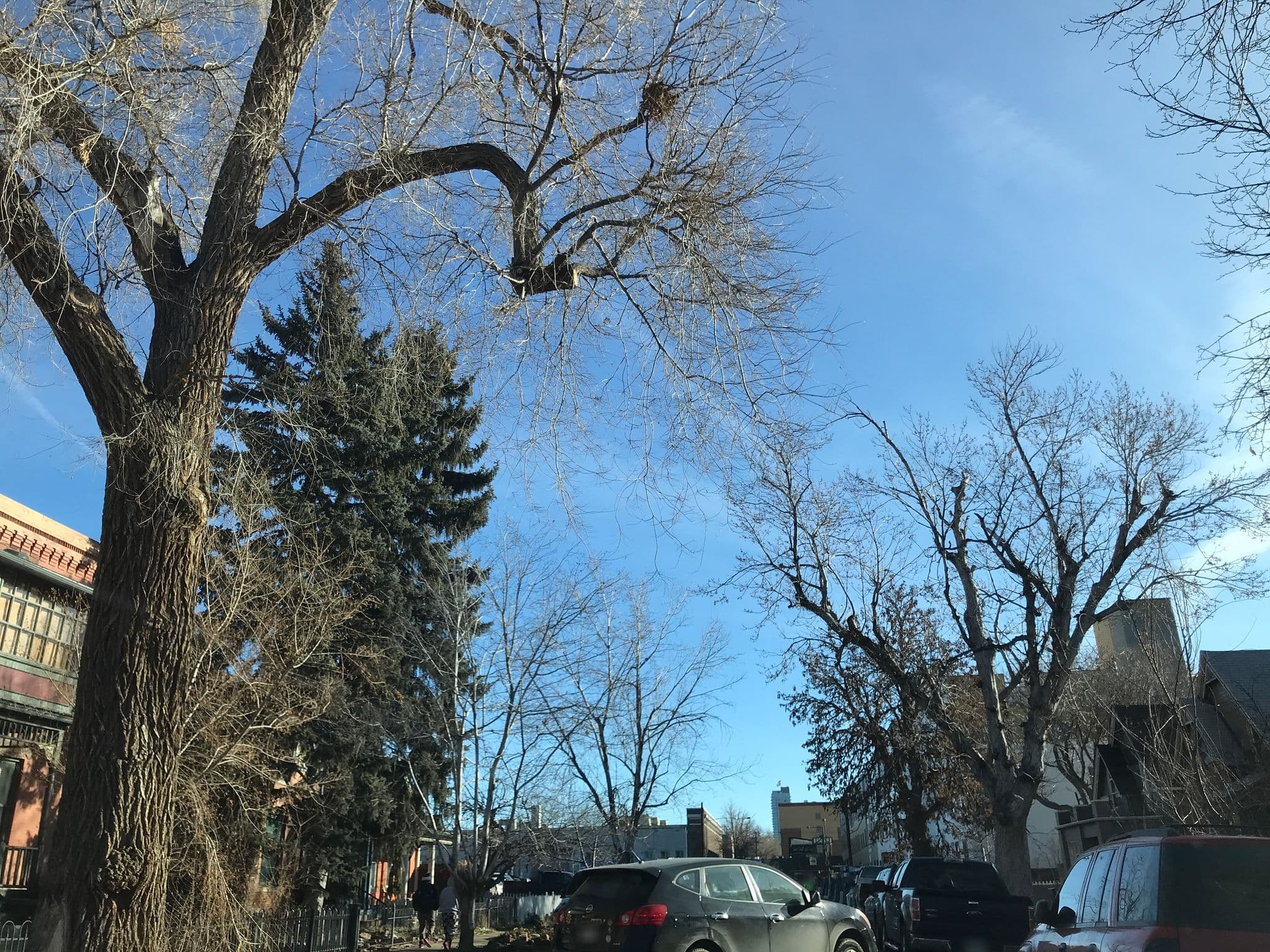 Street view near Hip VRBO On Bannock, Denver — © beareagle (CC BY-SA · Mapillary)