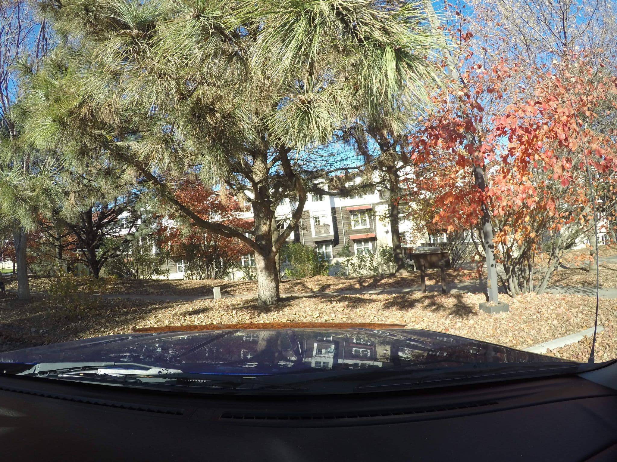 Street view near Lied Lodge Pool, Nebraska City — © toebee (CC BY-SA · Mapillary)