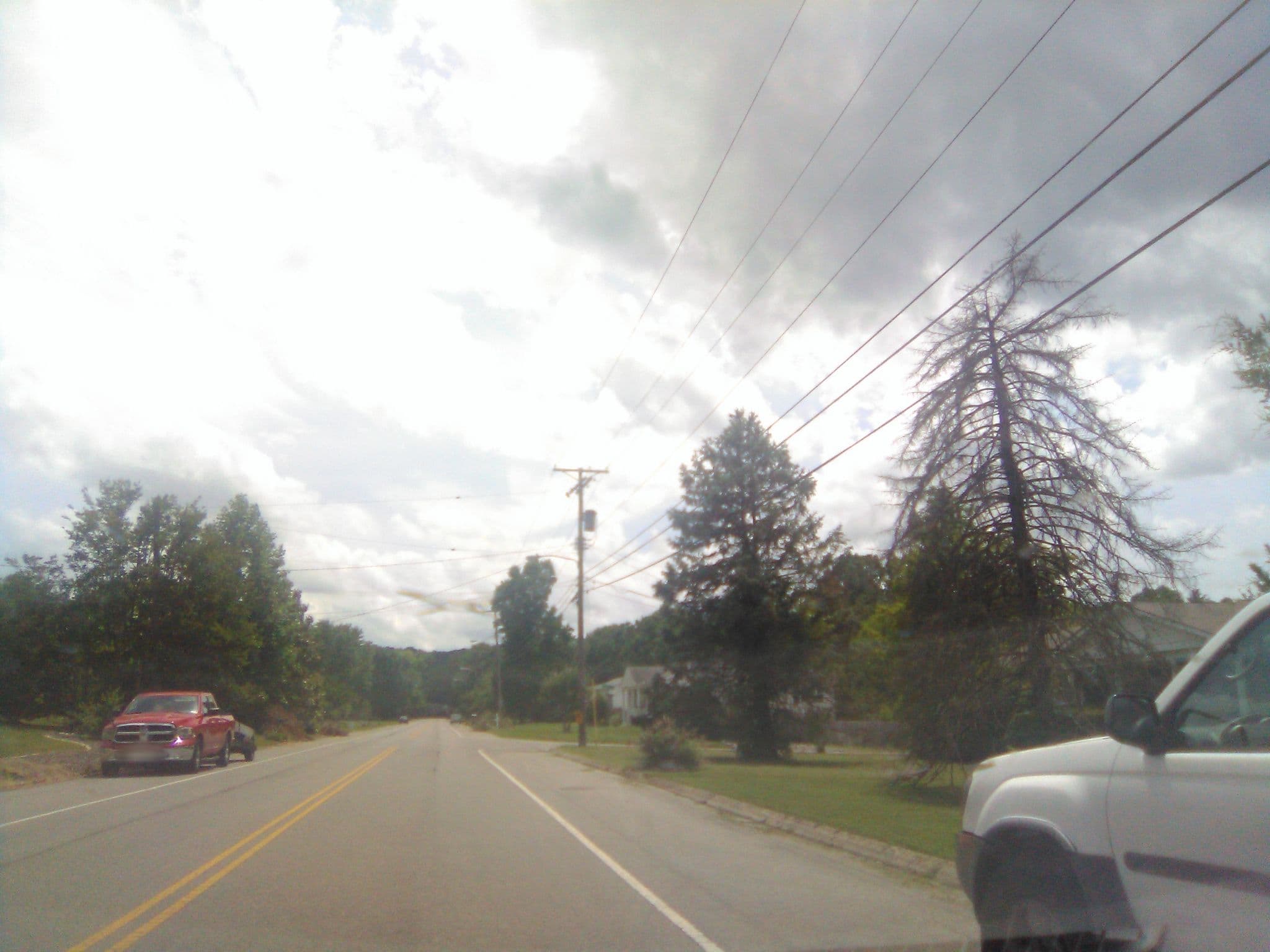 Street view near Garden Apartment Airbnb, Belle Meade — © theelizabeth (CC BY-SA · Mapillary)