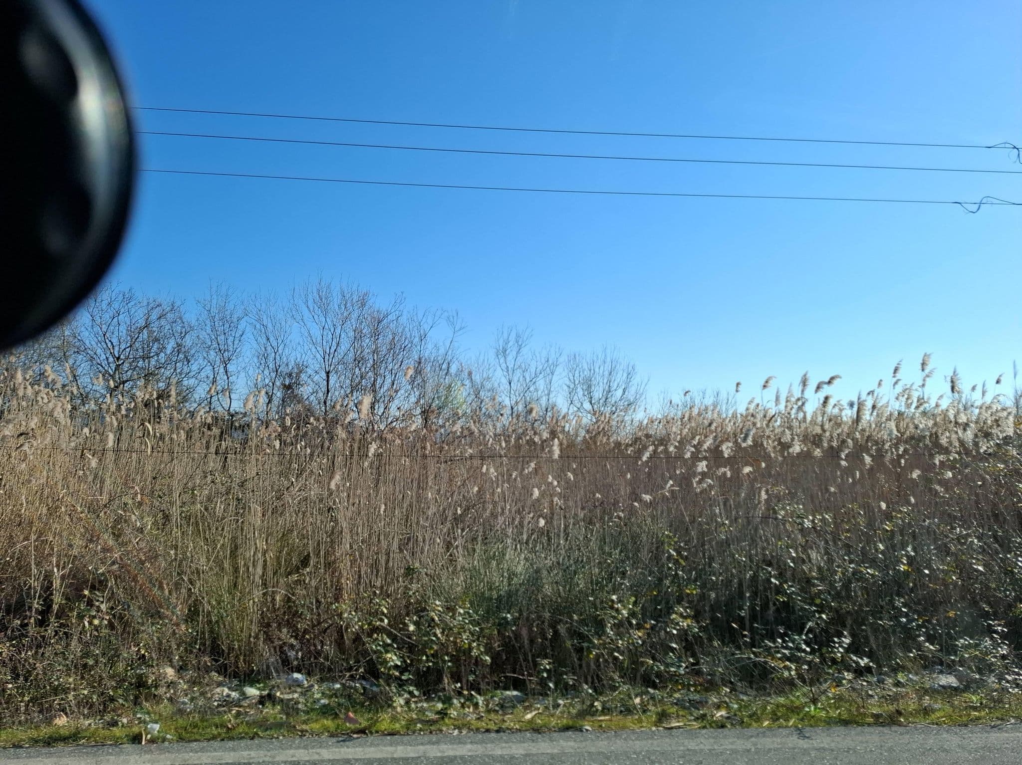 Street view near DEMI Camping, Lezhë — © denisju_osm (CC BY-SA · Mapillary)