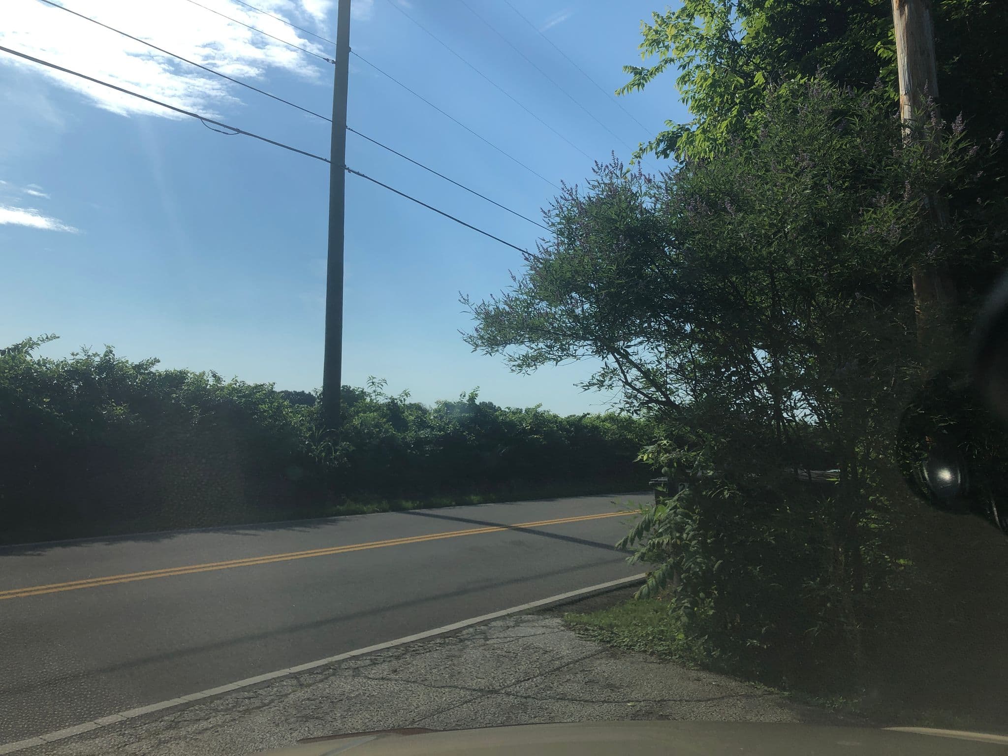 Street view near The River House, Hermitage — © mpm2s0855 (CC BY-SA · Mapillary)