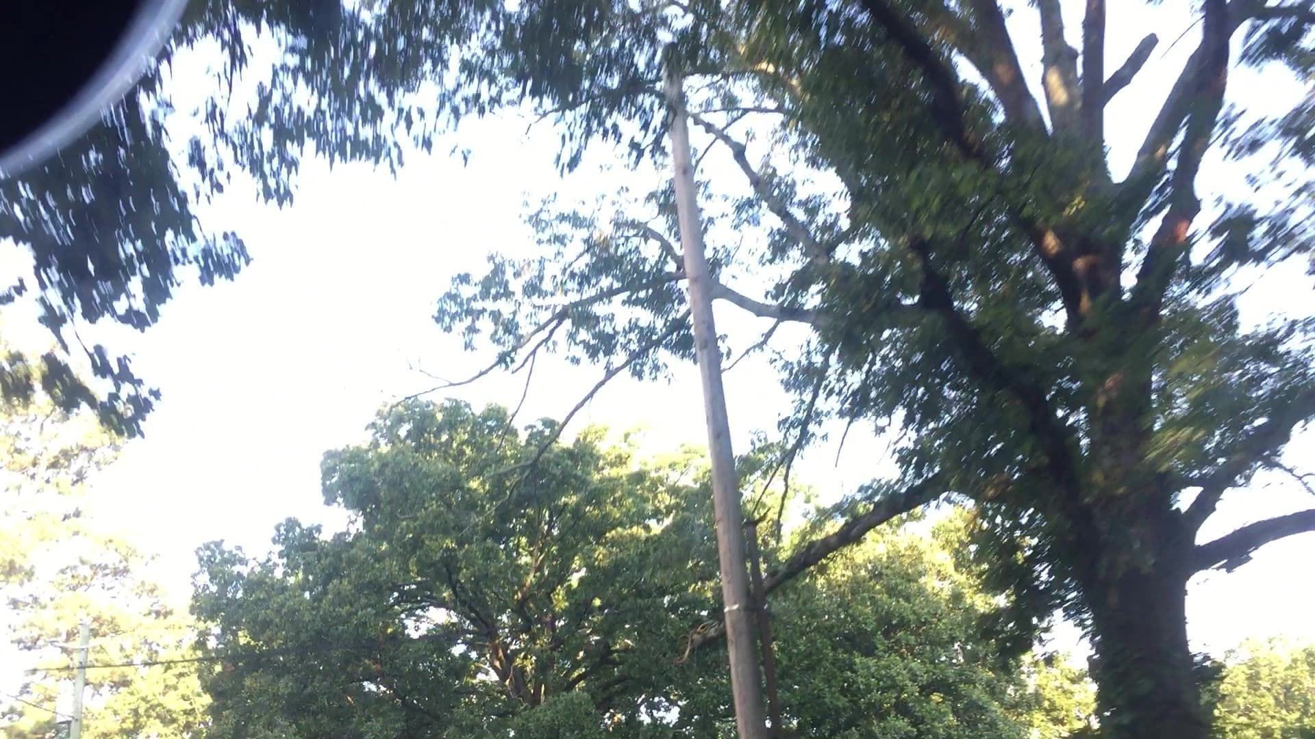 Street view near Economy Inn, Panthersville — © lvl5 (CC BY-SA · Mapillary)