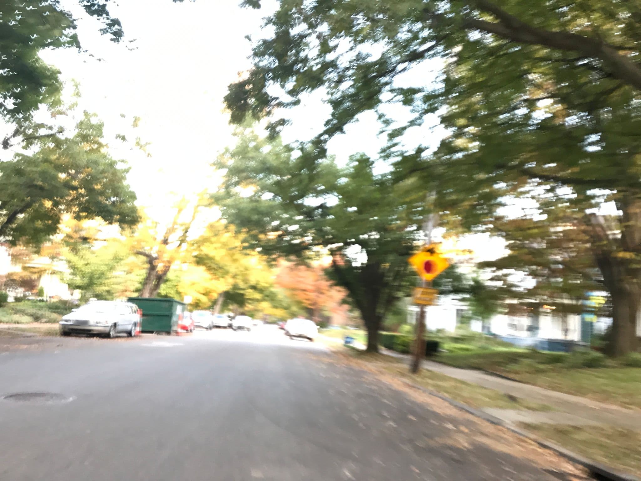Street view near Everette Rental, Audubon Park — © jroseaph (CC BY-SA · Mapillary)