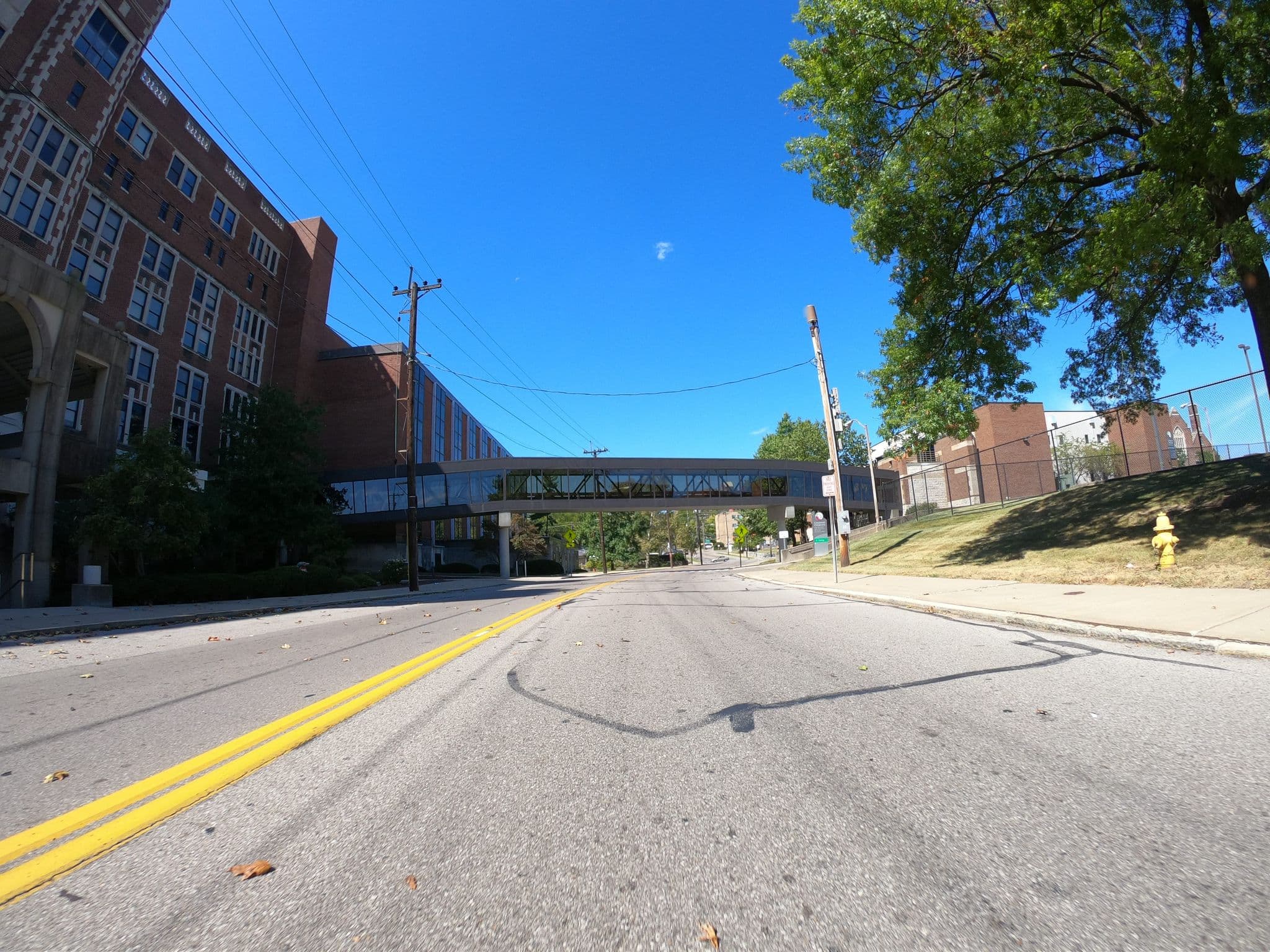 Street view near Trans Inns Management, Walnut Hills — © realadamp (CC BY-SA · Mapillary)