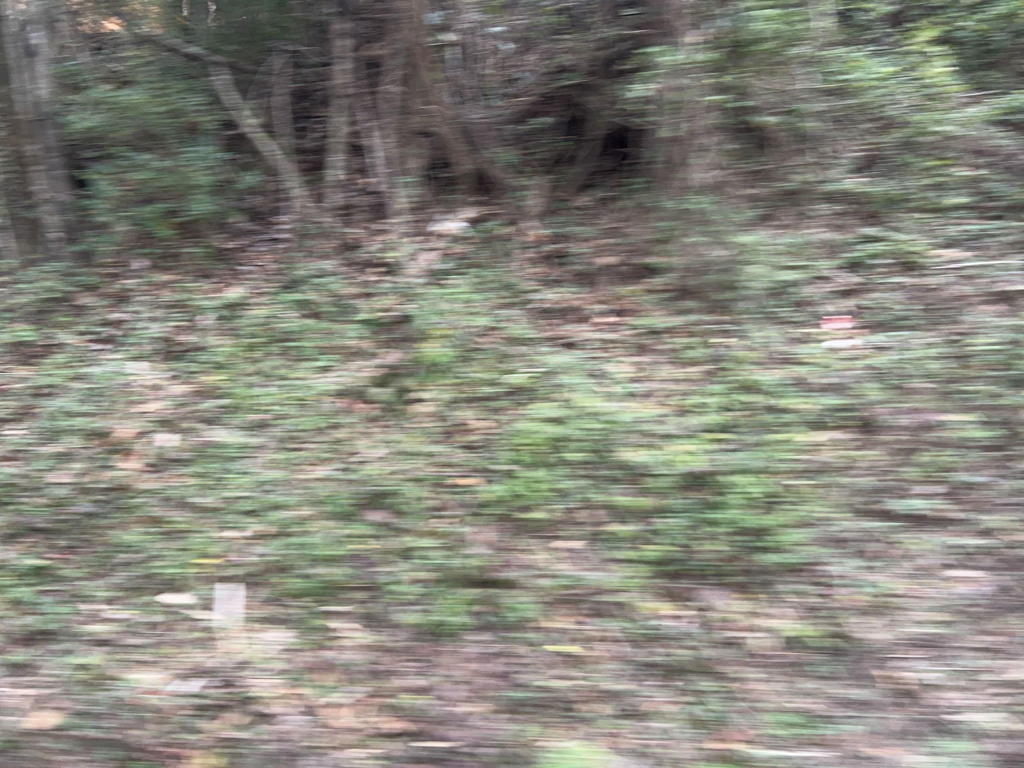 Street view near "A Romantic Retreat" Cabin Rental, Pigeon Forge — © cubanoboi (CC BY-SA · Mapillary)