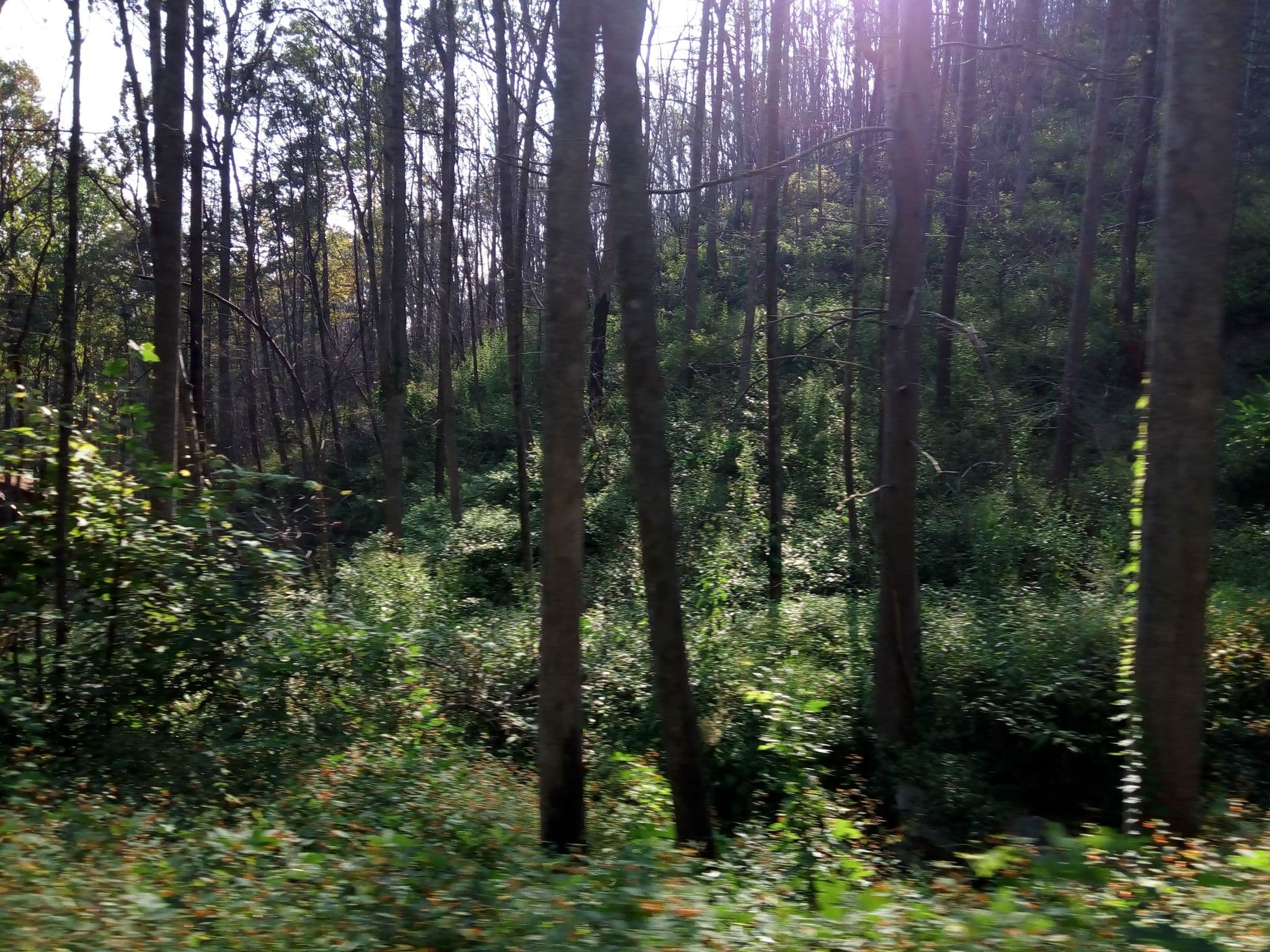 Street view near 419 Creekside Serenade, Gatlinburg — © mapfool (CC BY-SA · Mapillary)