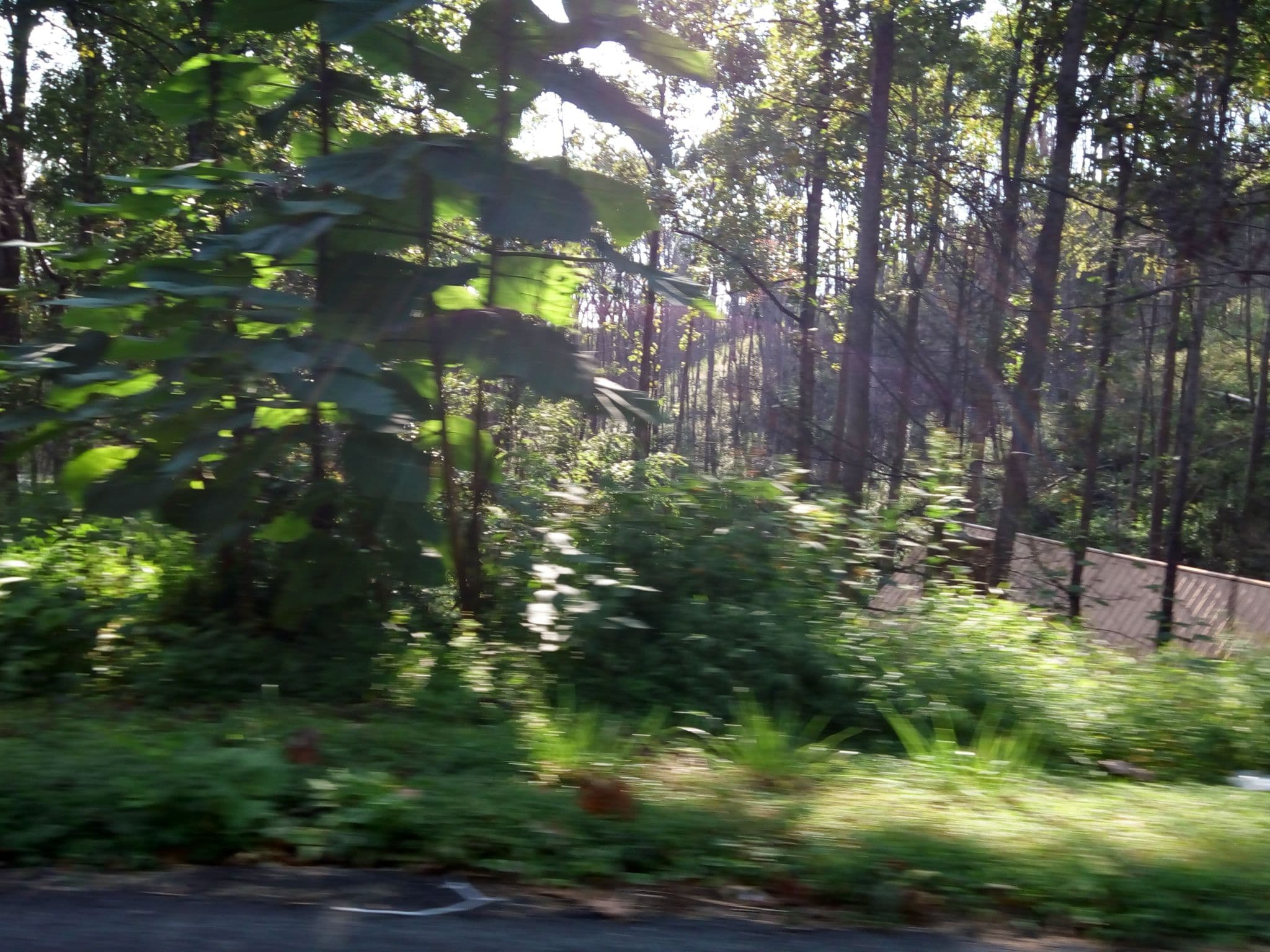 Street view near Brookside Hideaway, Gatlinburg — © mapfool (CC BY-SA · Mapillary)