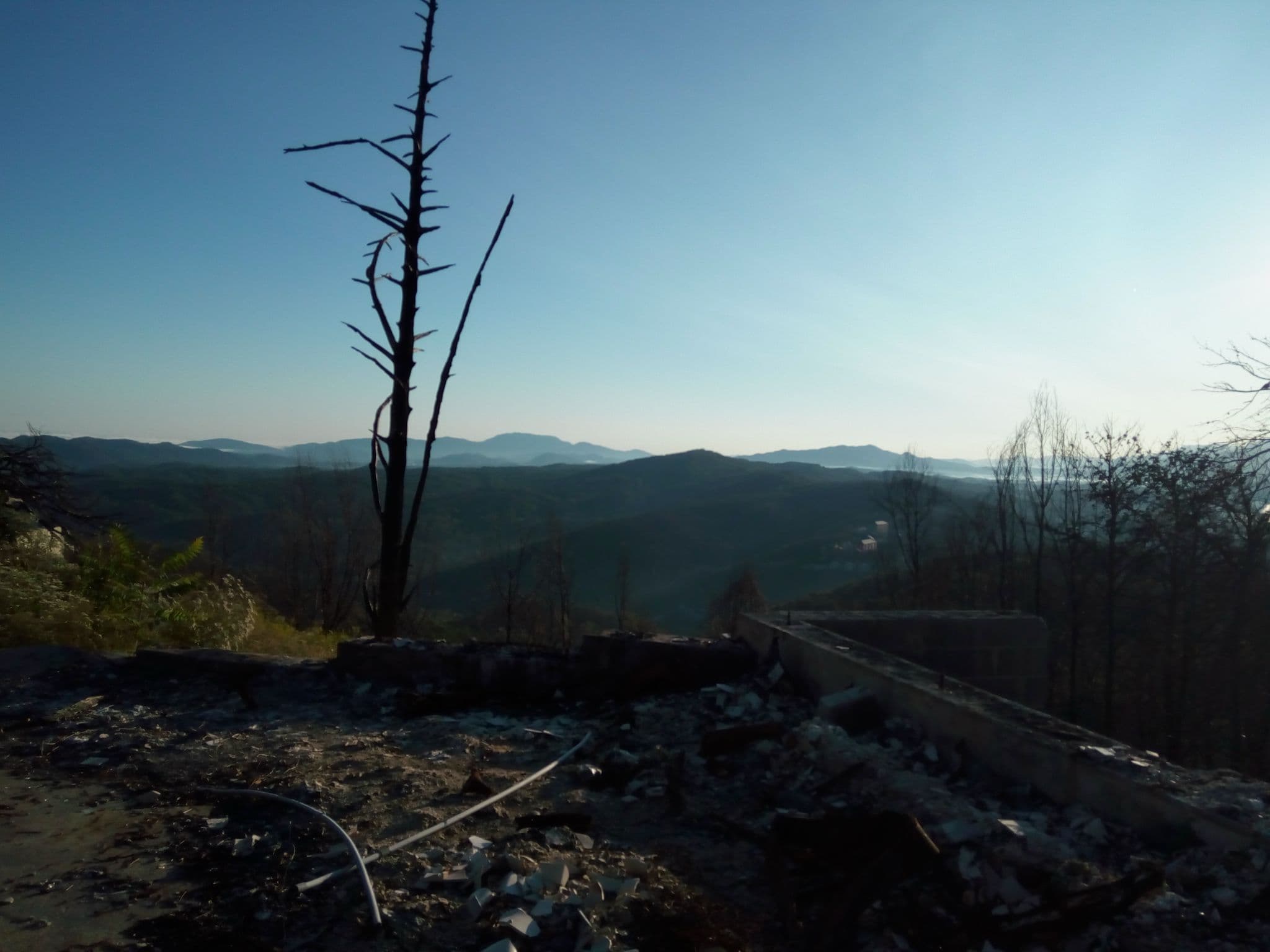 Street view near Azalea Lodge, Gatlinburg — © mapfool (CC BY-SA · Mapillary)