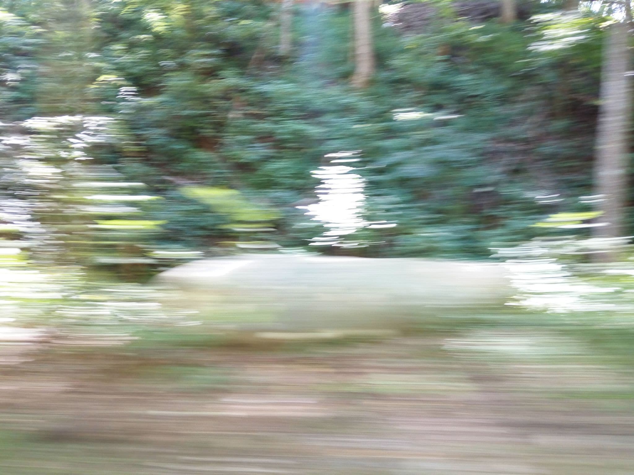 Street view near Snuggle Run Cabin, Gatlinburg — © mapfool (CC BY-SA · Mapillary)