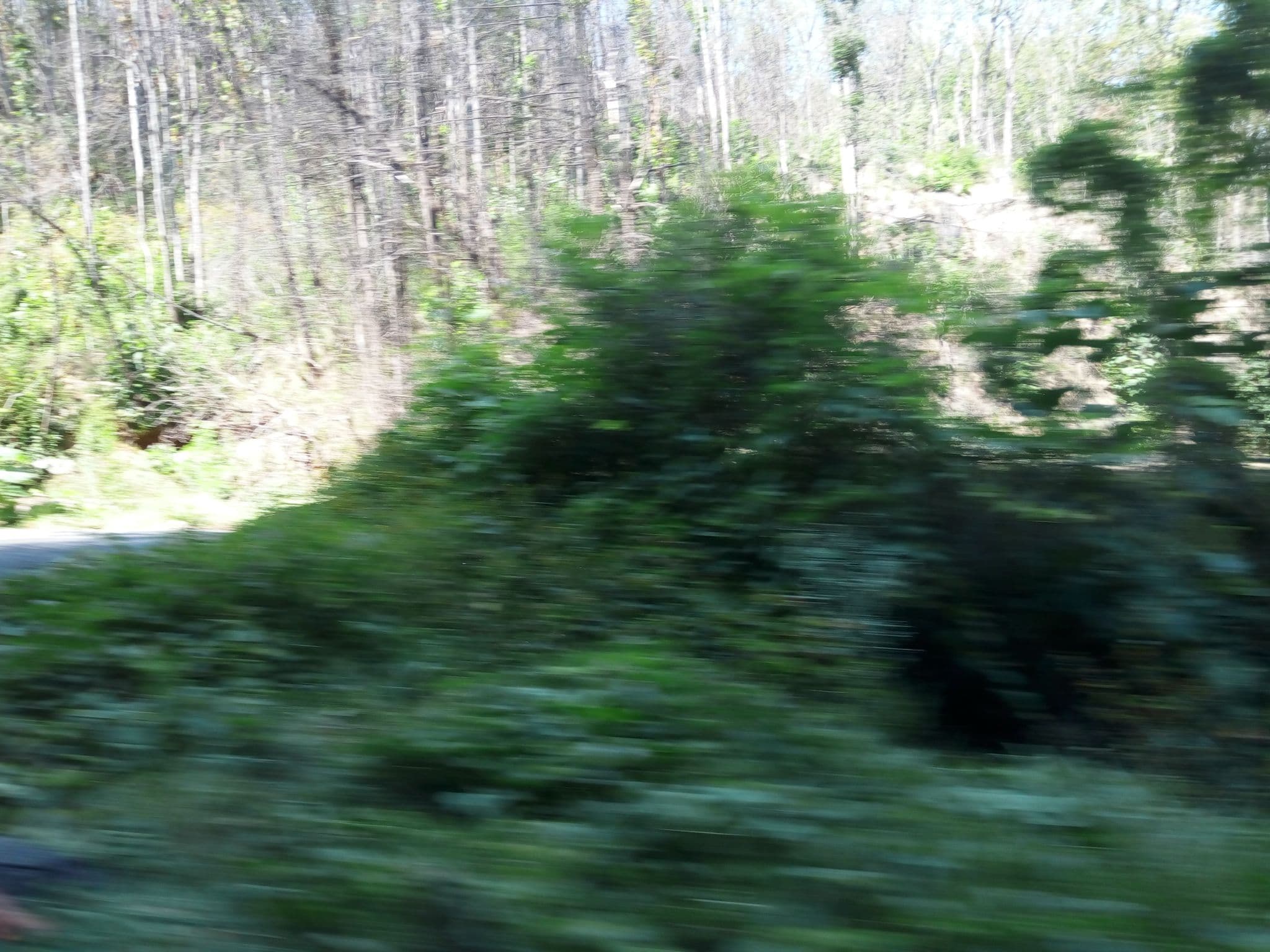 Street view near Mountain Vista Luxury Rentals, Gatlinburg — © mapfool (CC BY-SA · Mapillary)