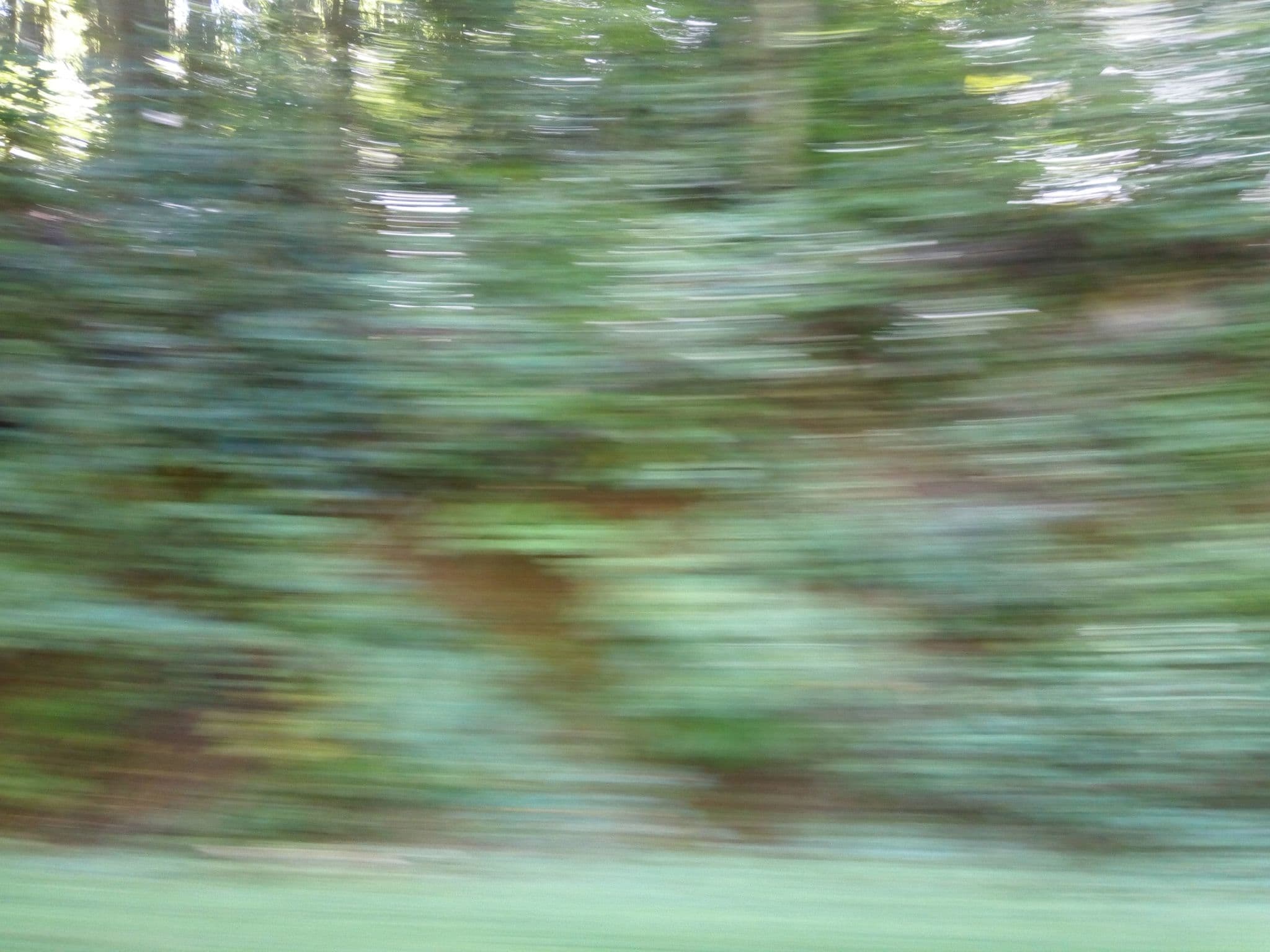 Street view near Buckberry Creek Chalet, Gatlinburg — © mapfool (CC BY-SA · Mapillary)