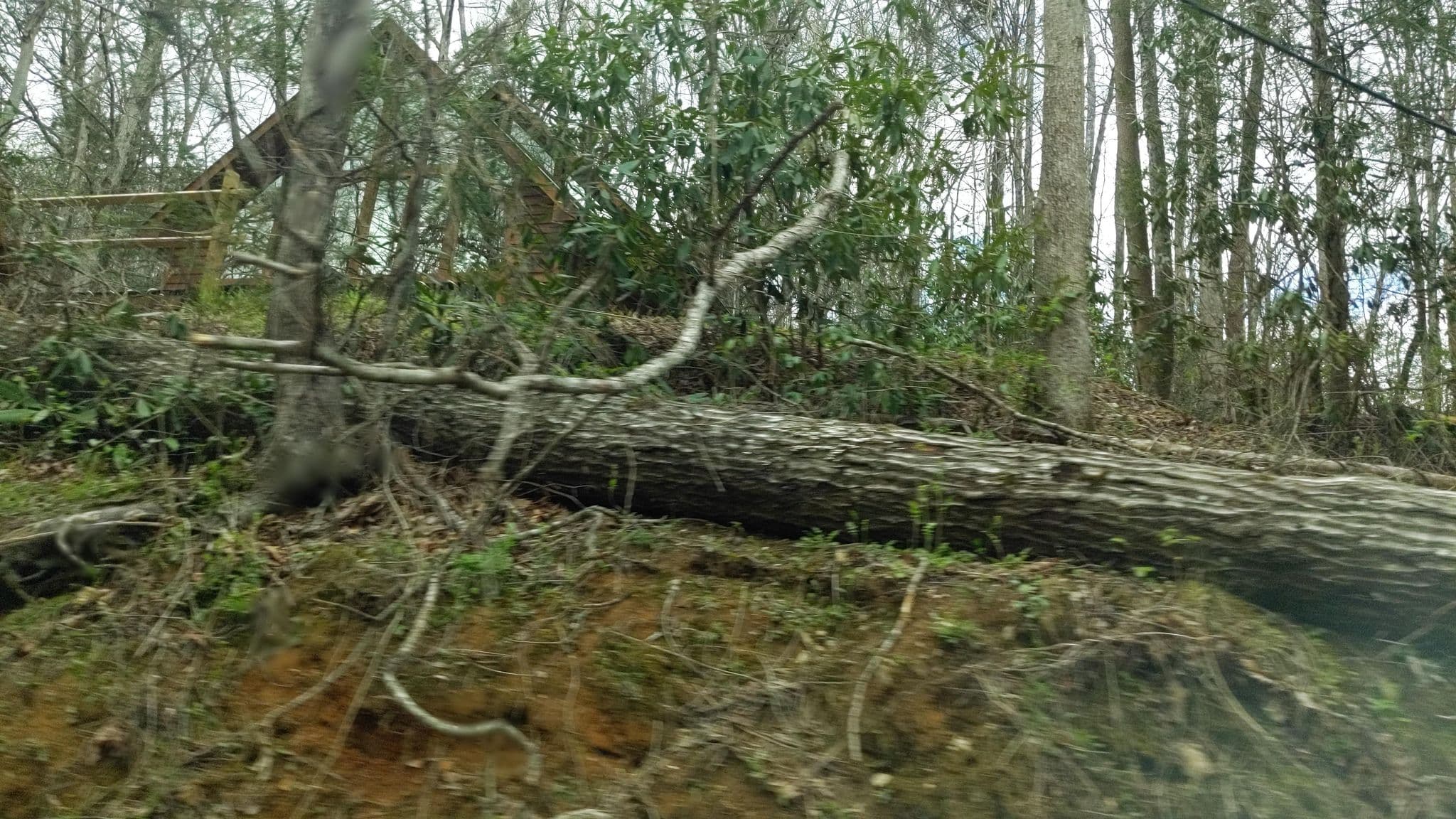 Street view near Smokey Mountain Romance Cabin, Gatlinburg — © magic1010d (CC BY-SA · Mapillary)