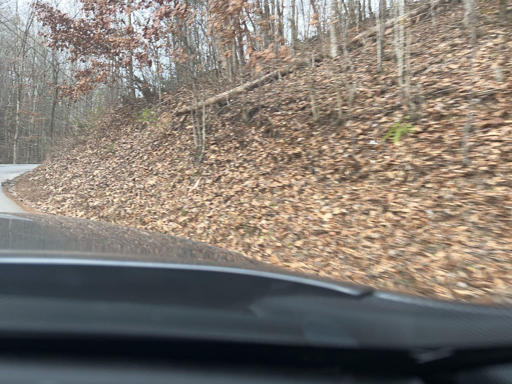 Street view near "Heavenly Dreams" Cabin Rental, Gatlinburg — © cubanoboi (CC BY-SA · Mapillary)