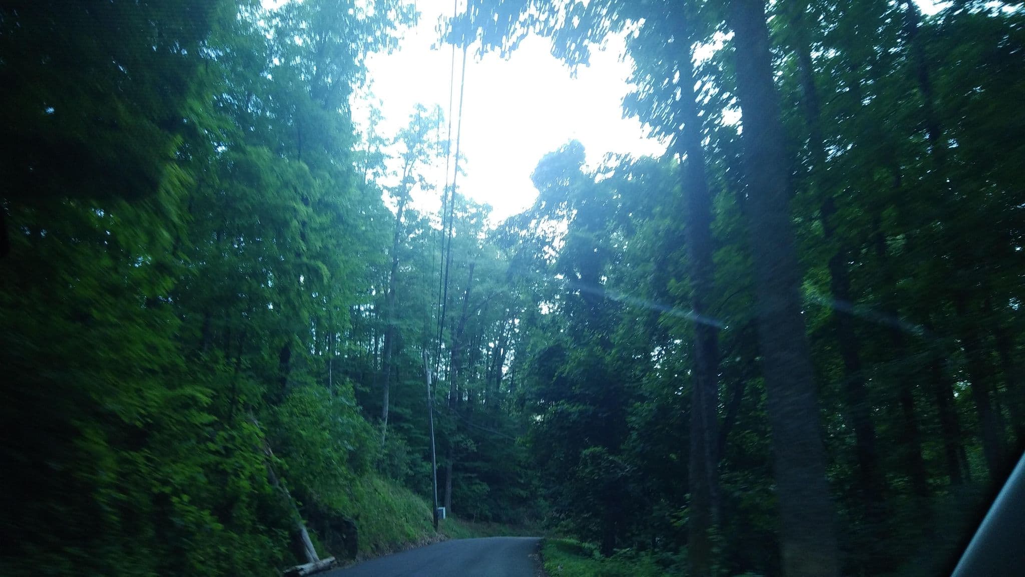 Street view near Kear's Mountain, Gatlinburg — © jacklehoullier (CC BY-SA · Mapillary)