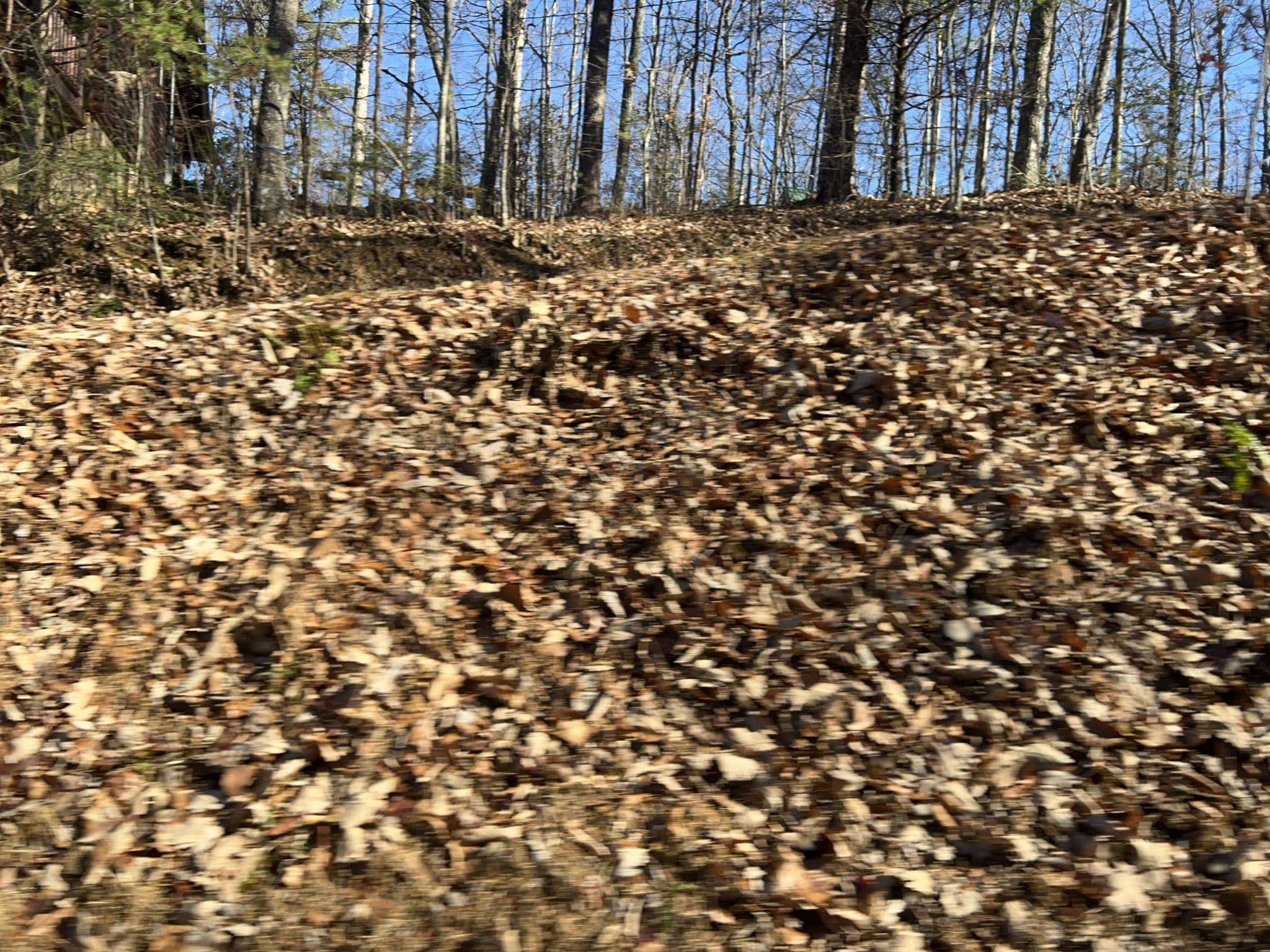 Street view near A Lover's Secret Rental Cabin by American Patriot Getaways, Gatlinburg — © cubanoboi (CC BY-SA · Mapillary)