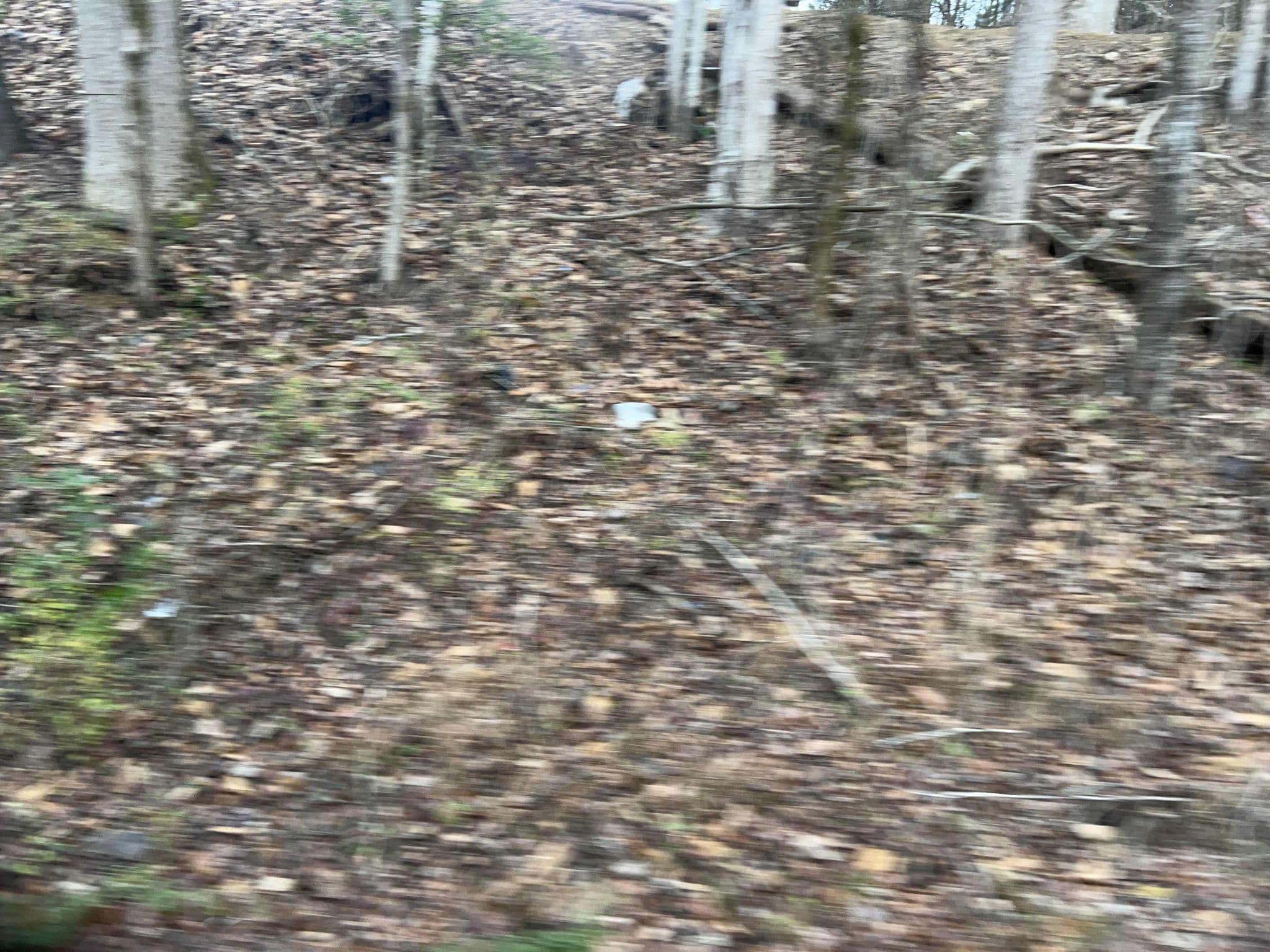 Street view near Hidden Ecstacy Rental Cabin by American Patriot Getaways, Gatlinburg — © cubanoboi (CC BY-SA · Mapillary)