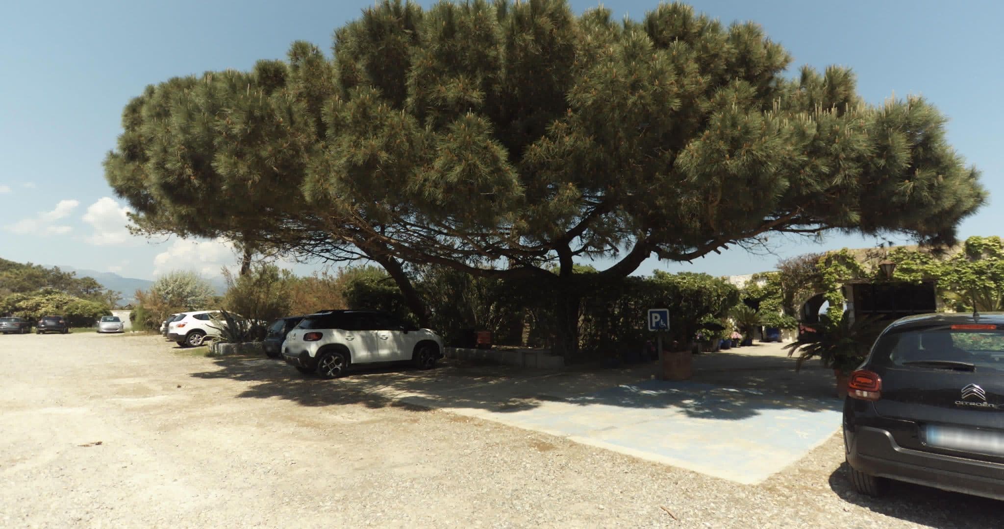 Street view near Hôtel Pineto, Biguglia — © sogefi (CC BY-SA · Mapillary)