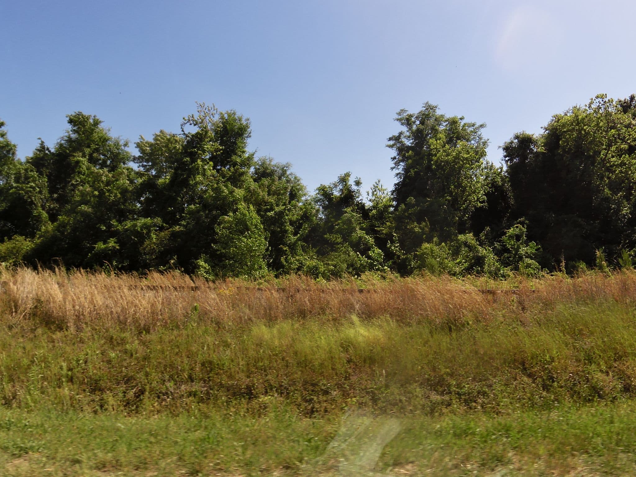 Street view near Annie's Inn Bed & Breakfast, Aiken — © allen (CC BY-SA · Mapillary)