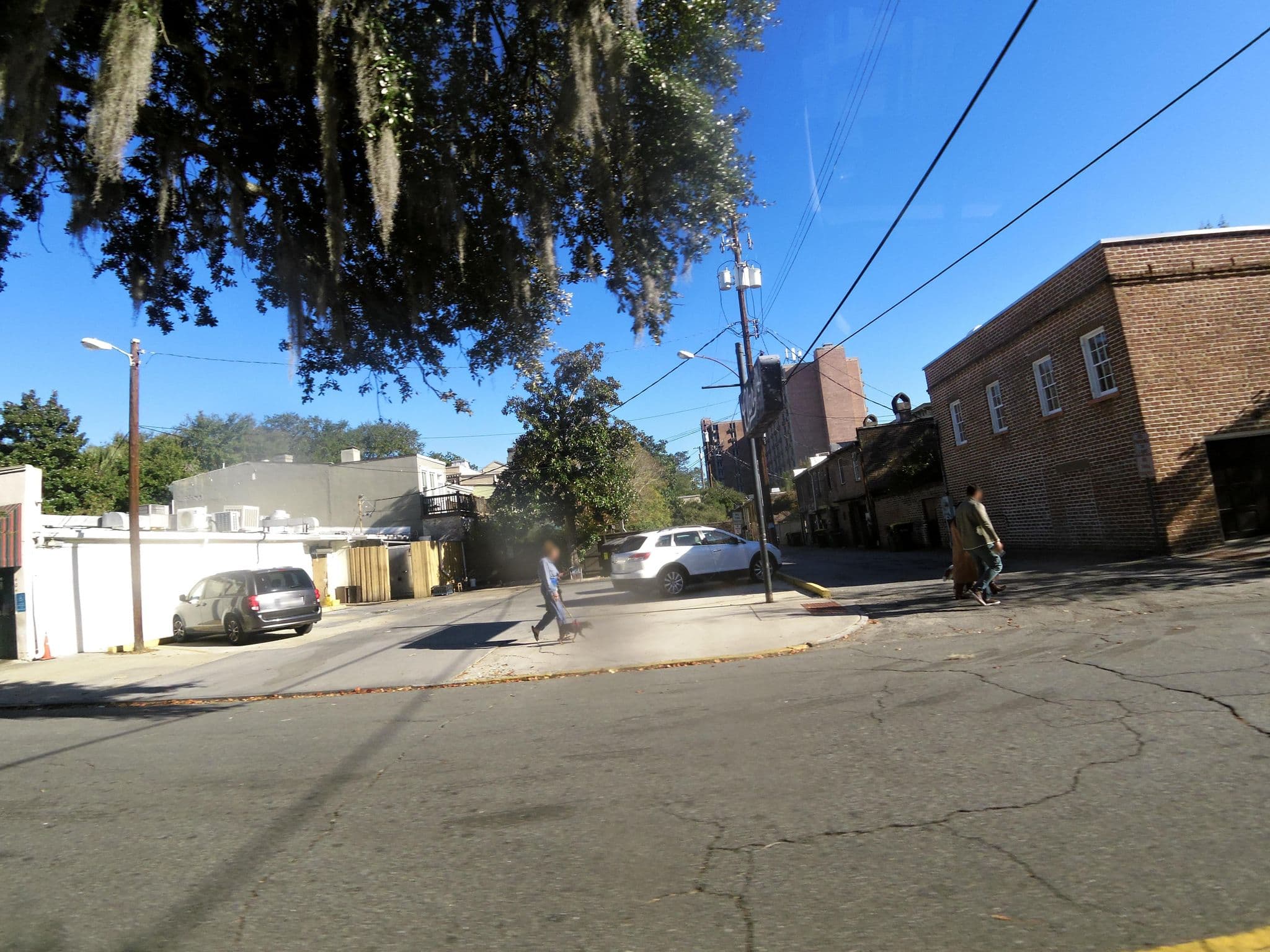 Street view near The Lane-dings, Savannah — © allen (CC BY-SA · Mapillary)