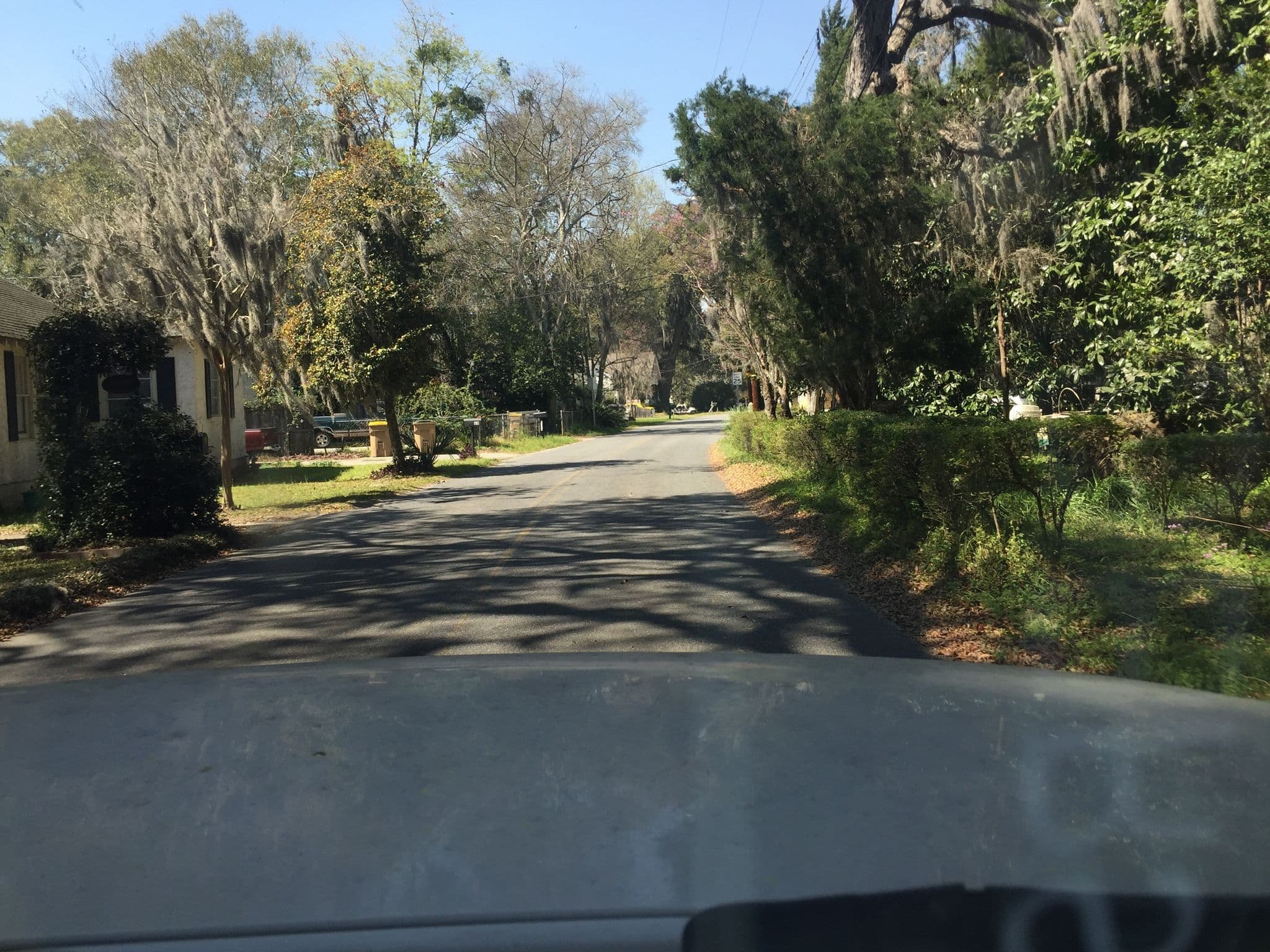 Street view near Diamond Oaks Treehouse, Thunderbolt — © davegis (CC BY-SA · Mapillary)