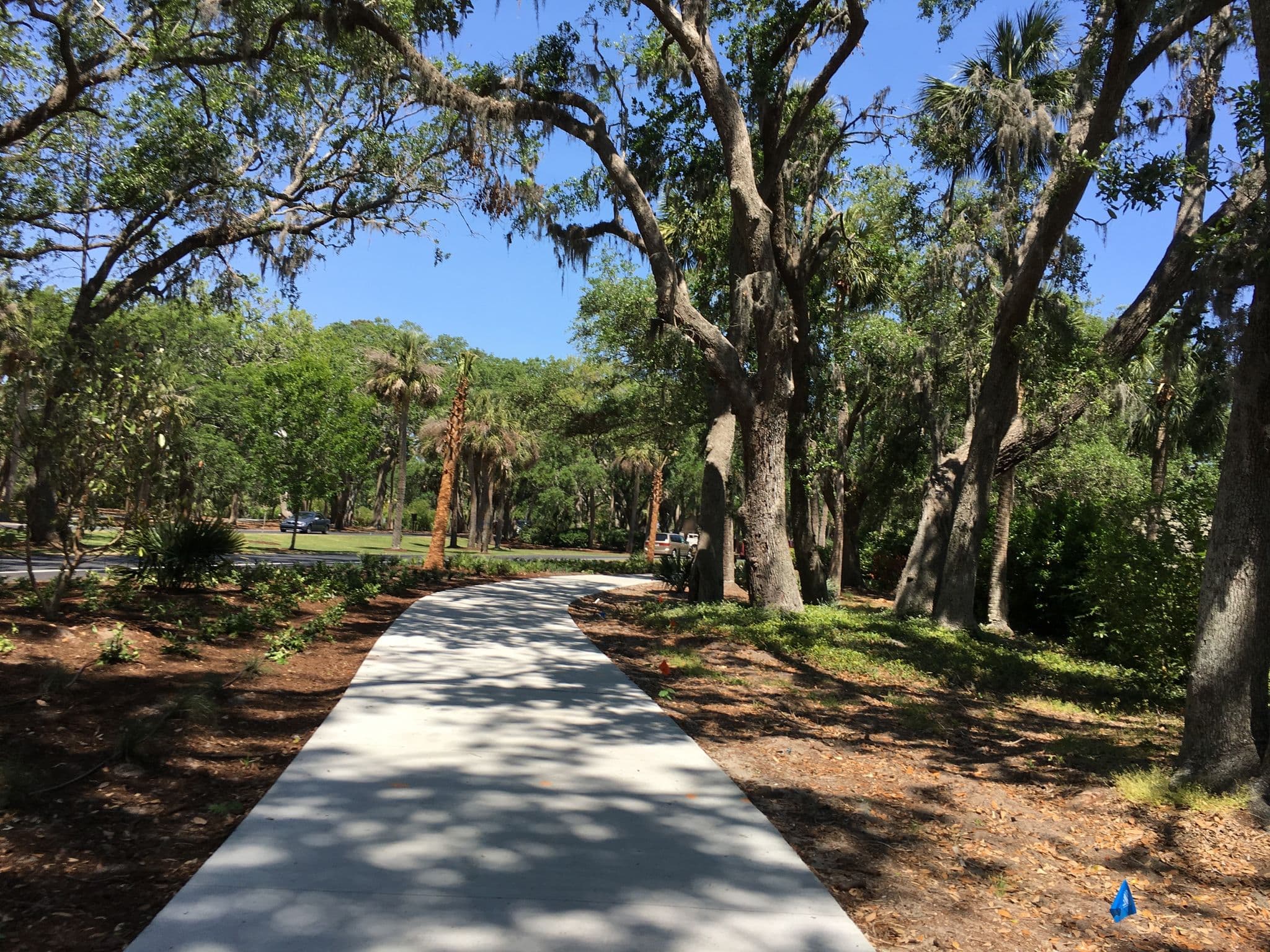 Street view near Palmetto Dunes Pool, Hilton Head Island — © talllguy (CC BY-SA · Mapillary)