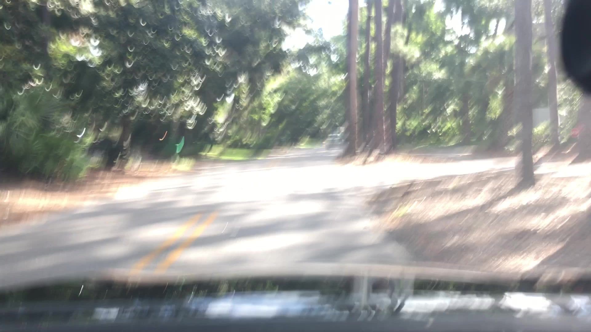 Street view near 44 North Sea Pines Drive, Hilton Head Island — © lvl5 (CC BY-SA · Mapillary)