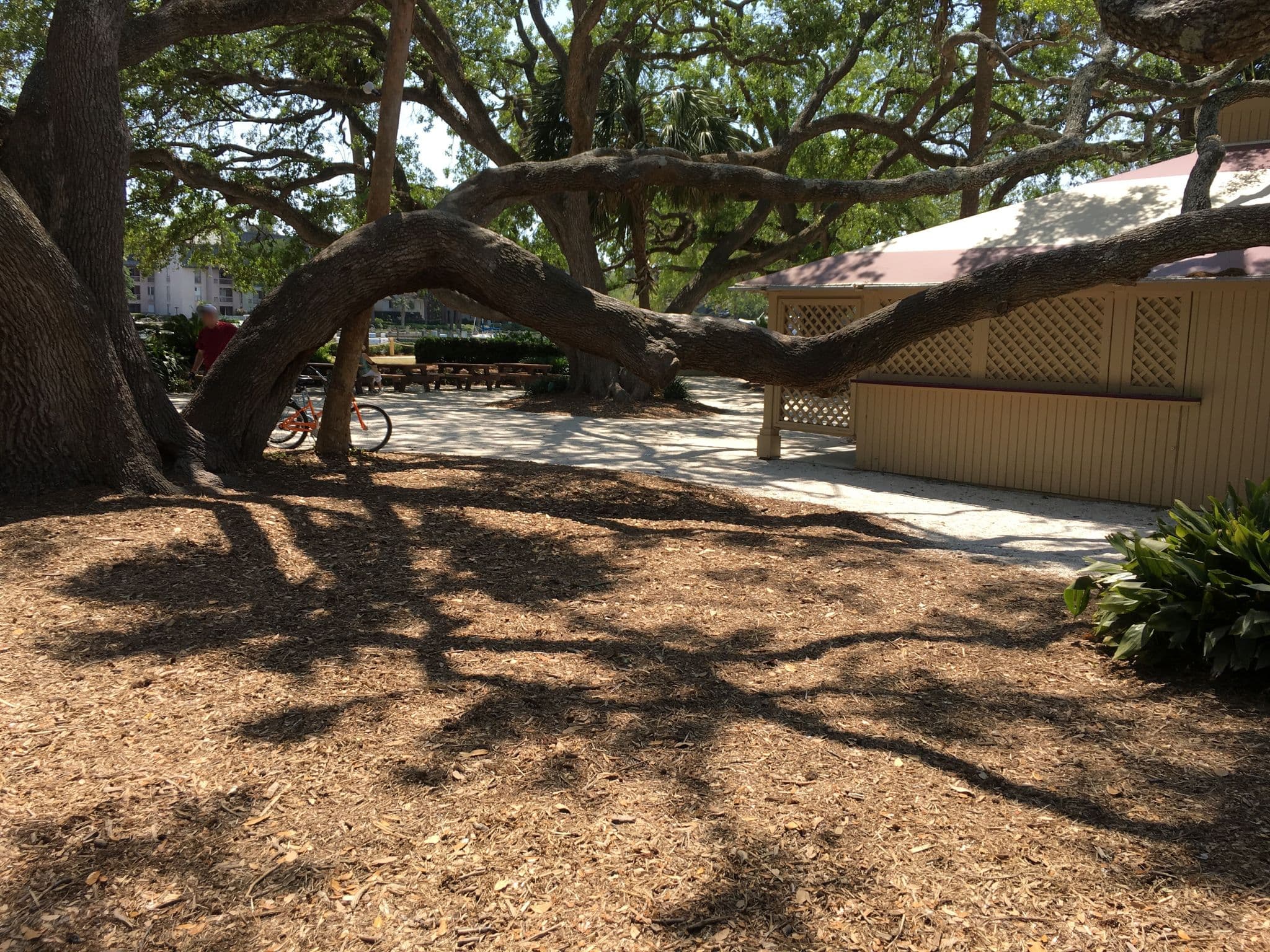 Street view near Sea Pines Resort, Hilton Head Island, S.C., Hilton Head Island — © talllguy (CC BY-SA · Mapillary)