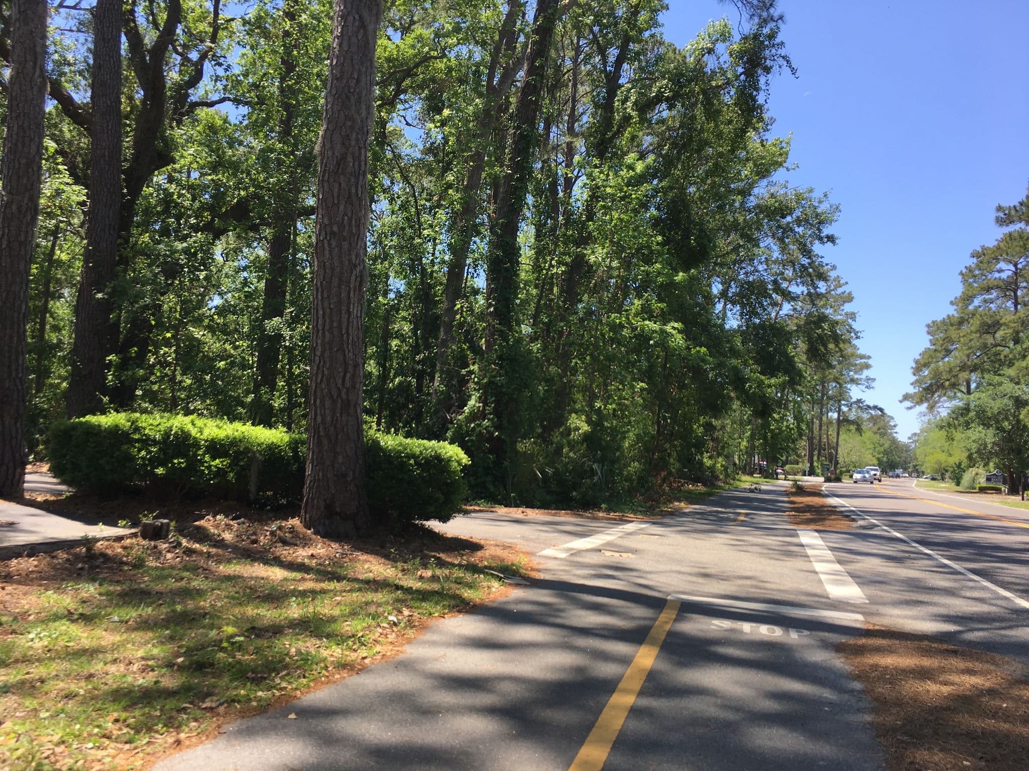 Street view near Palmetto Sands Vacation Rentals, Hilton Head Island — © talllguy (CC BY-SA · Mapillary)