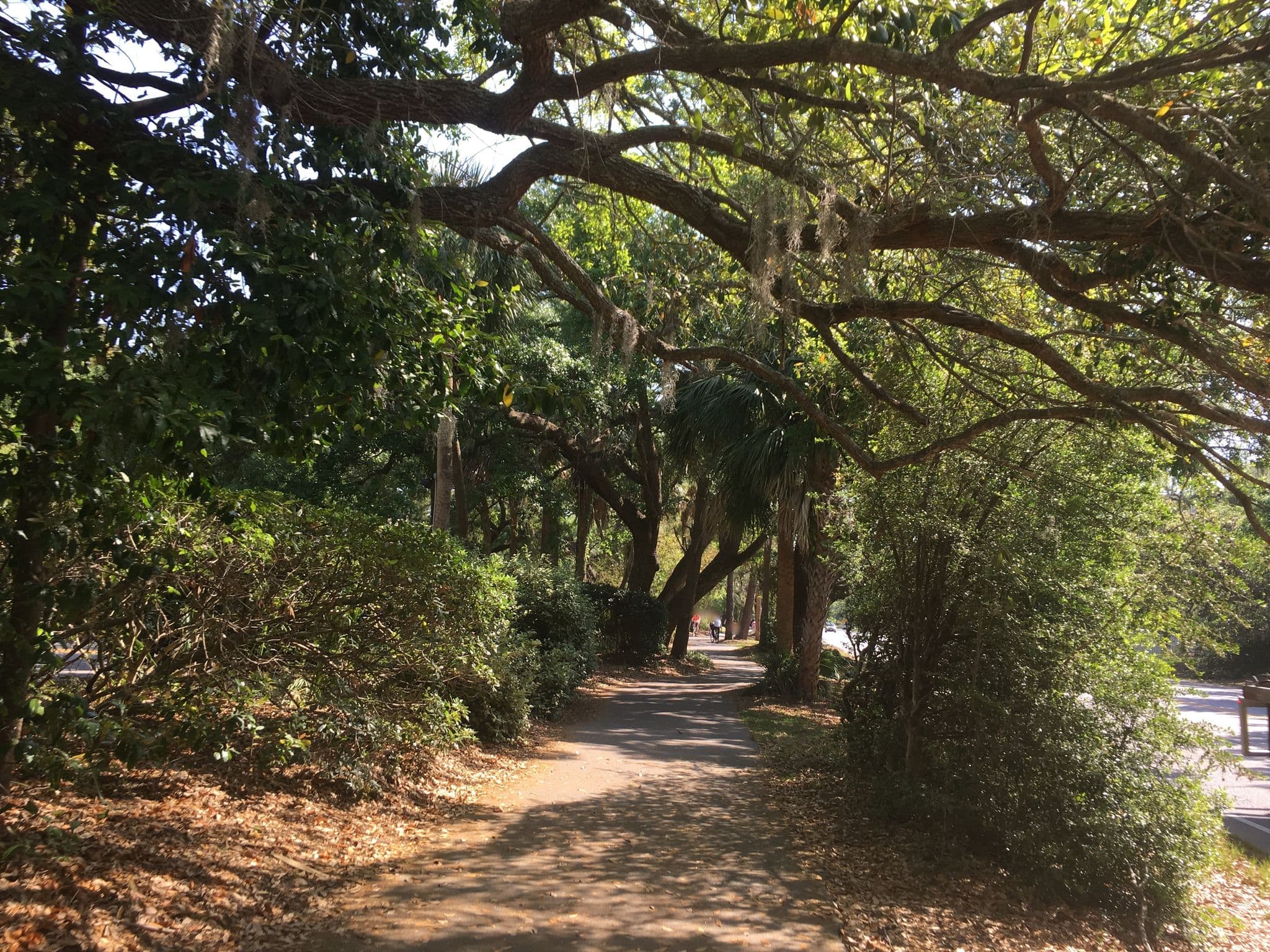Street view near Hilton Head Value Villas, Hilton Head Island — © talllguy (CC BY-SA · Mapillary)