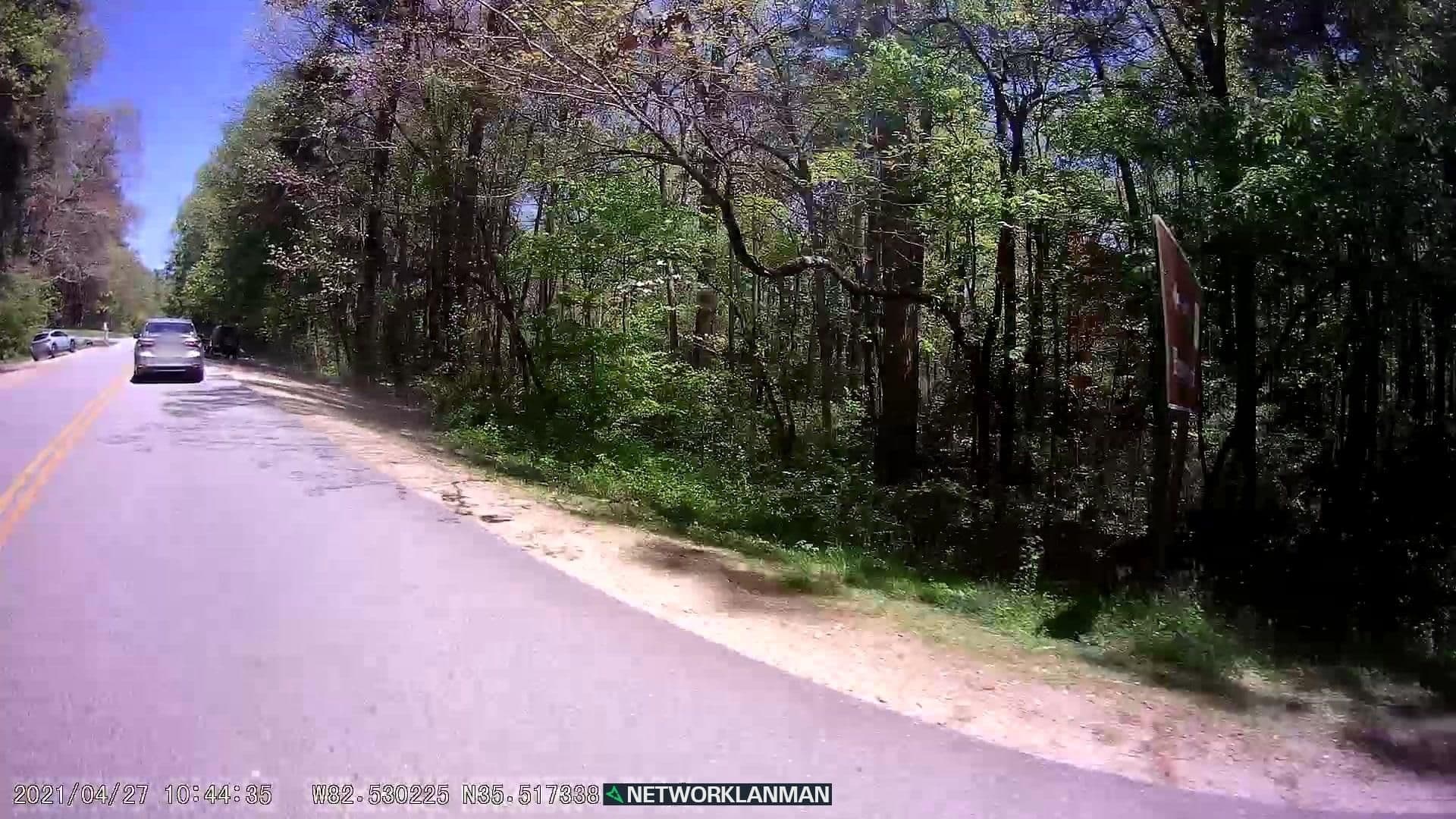 Street view near Bent Creek Lodge, Biltmore Forest — © networklanman (CC BY-SA · Mapillary)