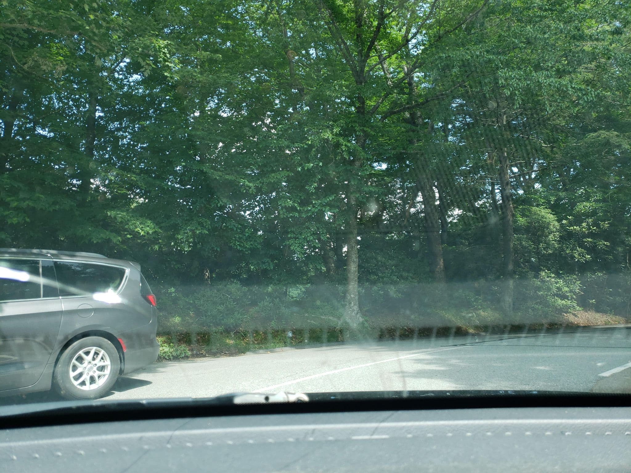 Street view near Sweet Seasons Bed and Breakfast, Blowing Rock — © guyutetube (CC BY-SA · Mapillary)