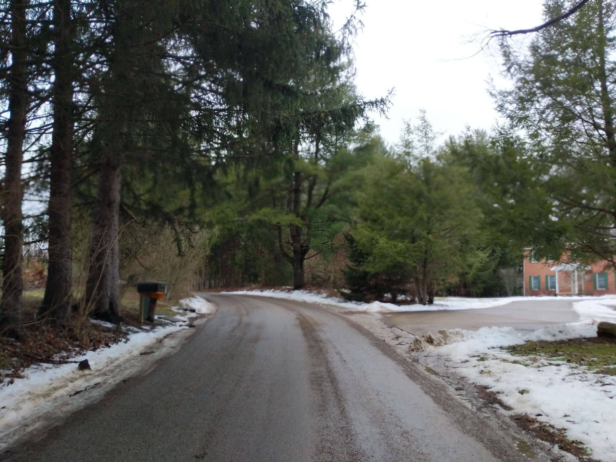 Street view near Bodhi Tree Guest House, The Plains — © rdelach (CC BY-SA · Mapillary)