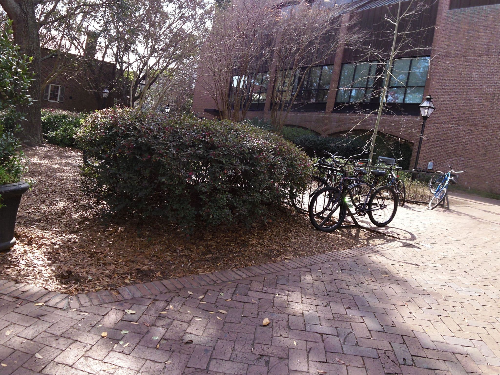 Street view near Merhaven Bed No Breakfast, Charleston — © allen (CC BY-SA · Mapillary)