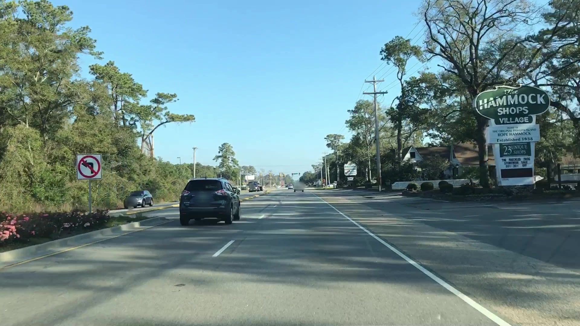 Street view near Pawleys Island Dm, Murrells Inlet — © lvl5 (CC BY-SA · Mapillary)