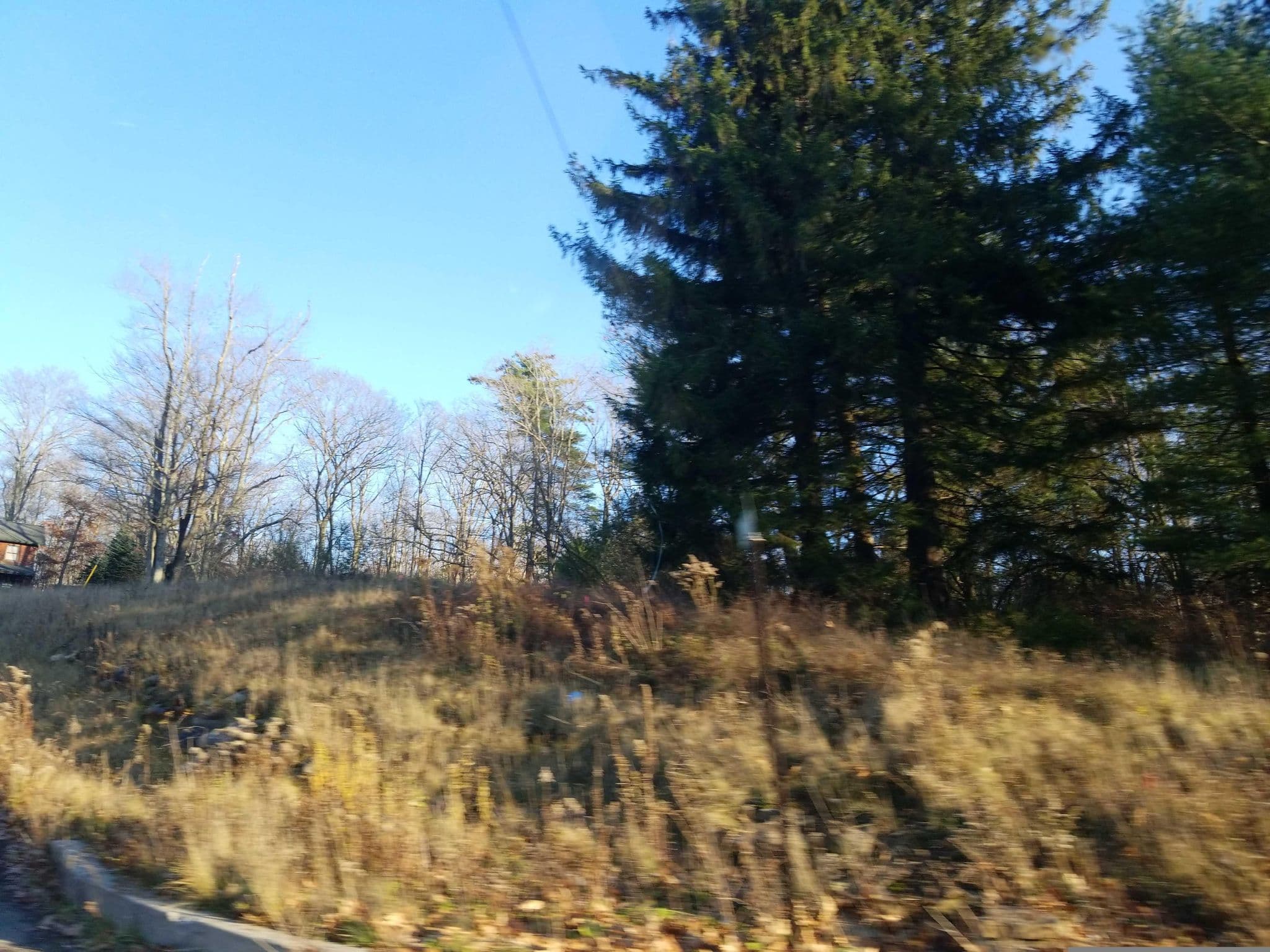 Street view near Lovin' Life Deep Creek, Mountain Lake Park — © DrivingRoundTown (CC BY-SA · Mapillary)