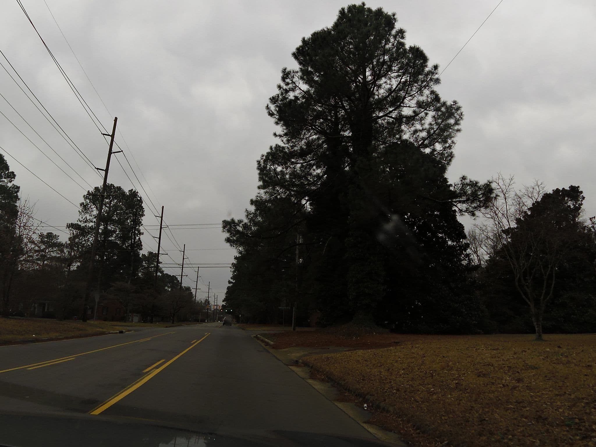 Street view near Lala Land, Rocky Mount — © allen (CC BY-SA · Mapillary)