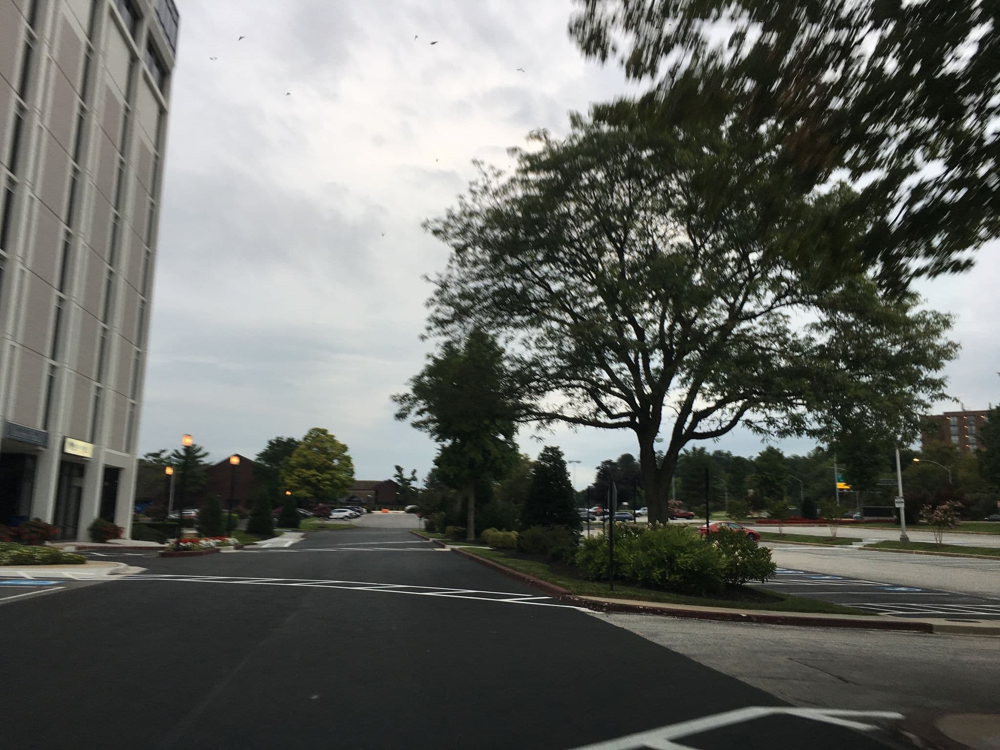 Street view near Marriott, Hunt Valley — © talllguy (CC BY-SA · Mapillary)