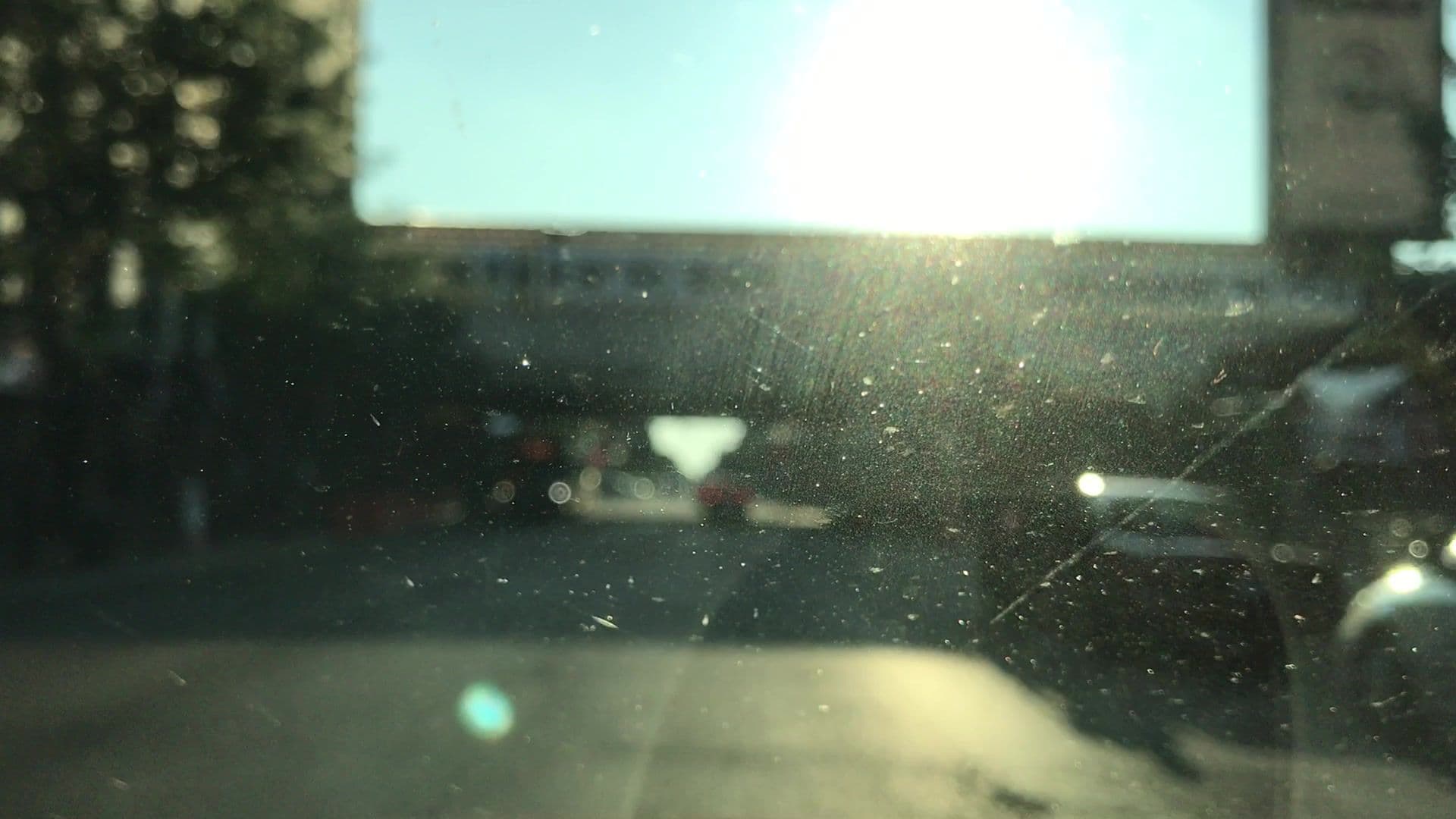 Street view near The Reed Hoggatt, Lincoln Park — © lvl5 (CC BY-SA · Mapillary)
