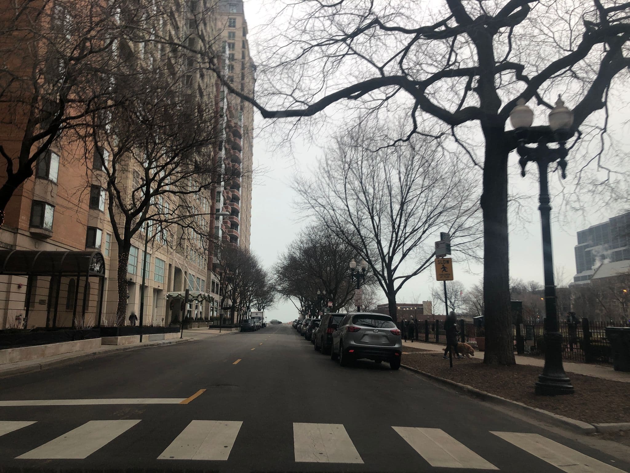 Street view near Northwestern Memorial Hotel, Near North Side — © glendachagas (CC BY-SA · Mapillary)
