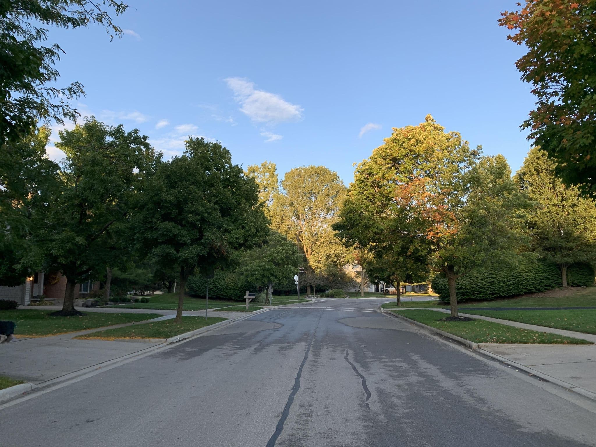 Street view near Casa Del Magnifica, New California — © royalplume (CC BY-SA · Mapillary)
