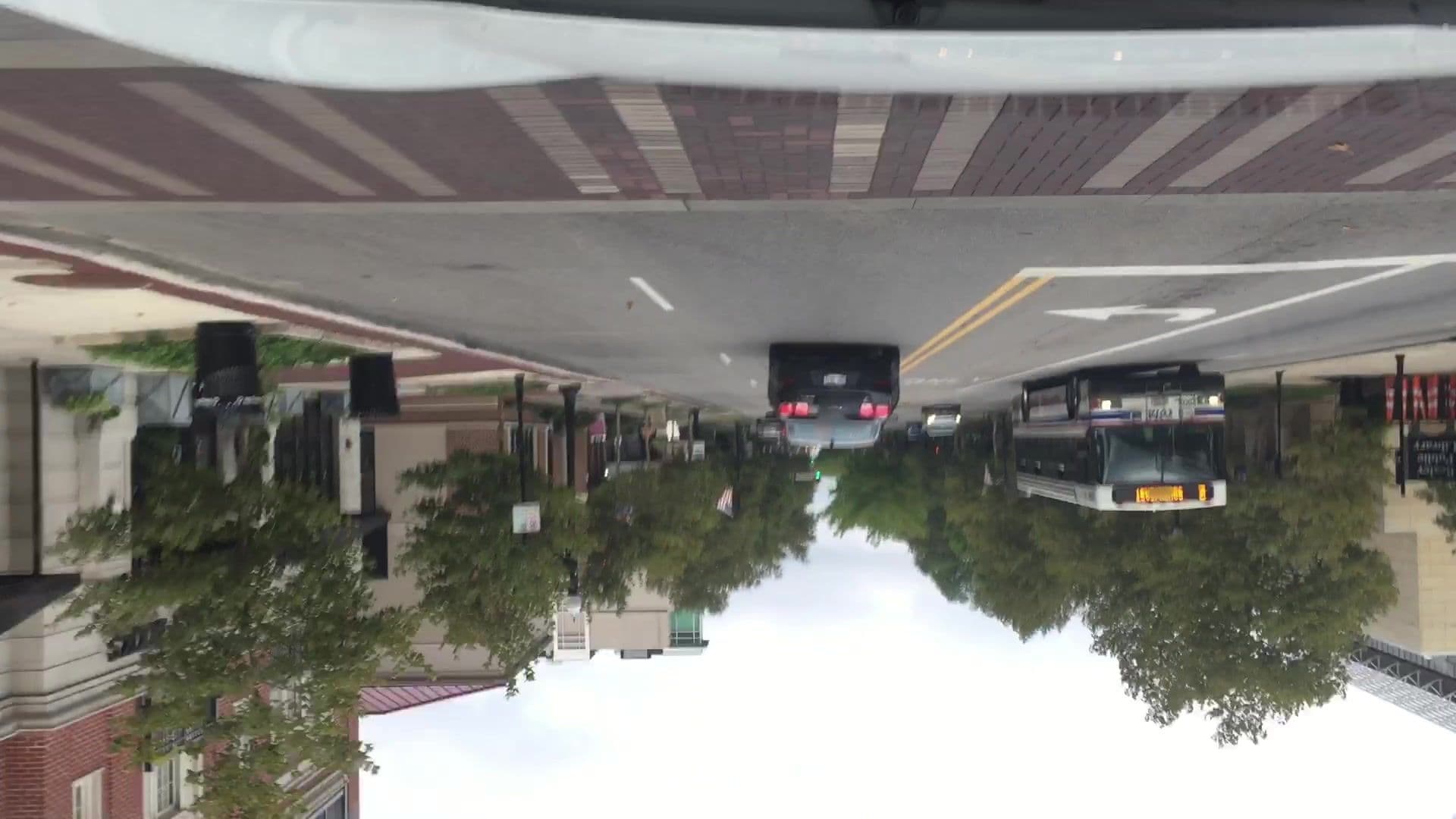 Street view near Garage Slab World HQ, Bexley — © lvl5 (CC BY-SA · Mapillary)