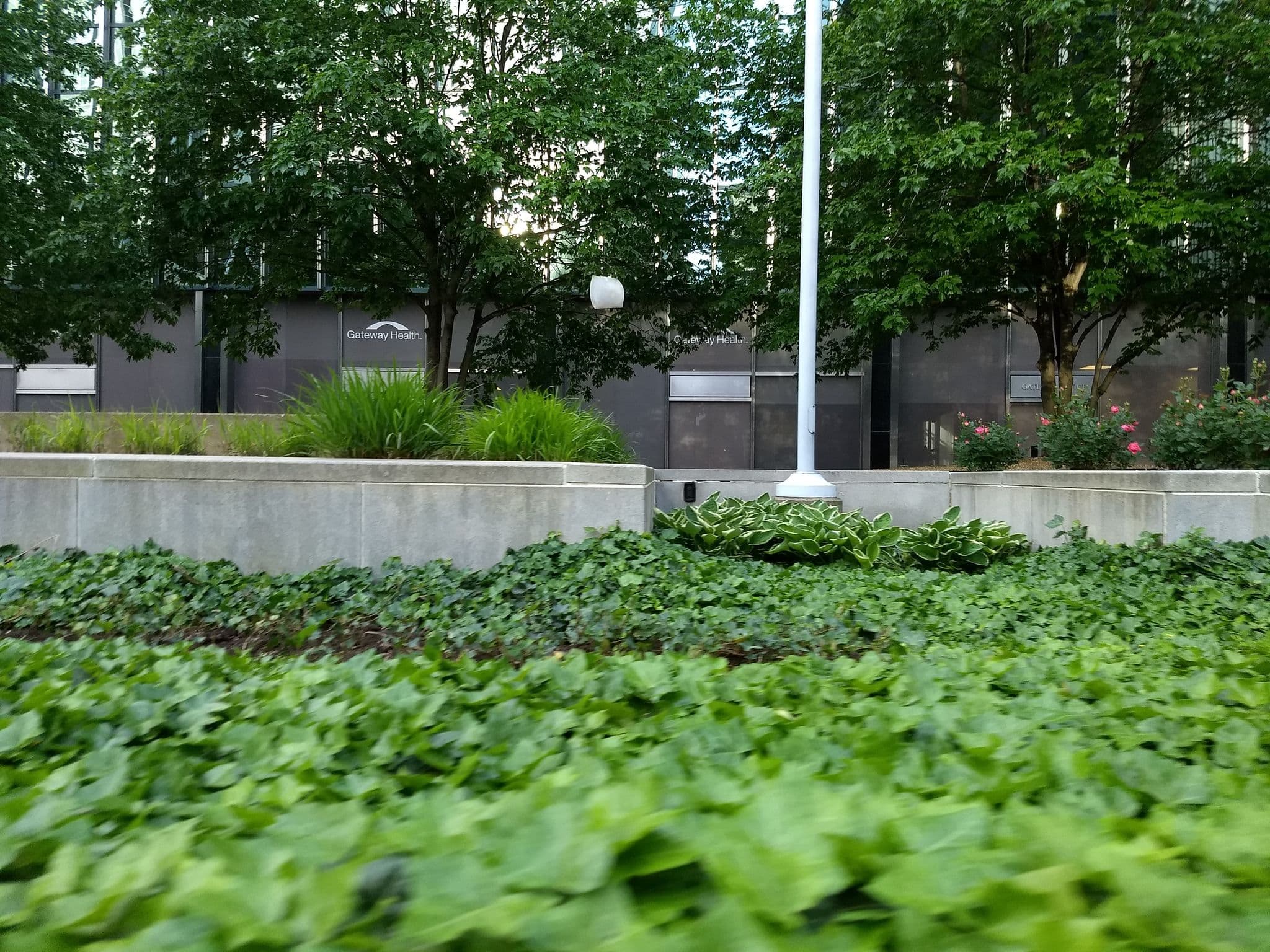 Street view near Town Place Pittsburgh, Pittsburgh — © abf (CC BY-SA · Mapillary)
