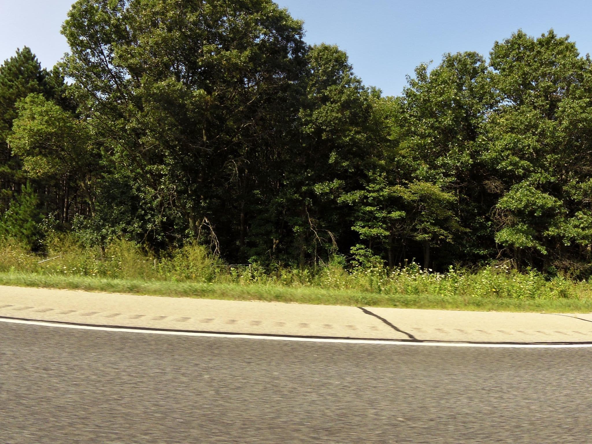 Street view near 1835, Tomah — © allen (CC BY-SA · Mapillary)