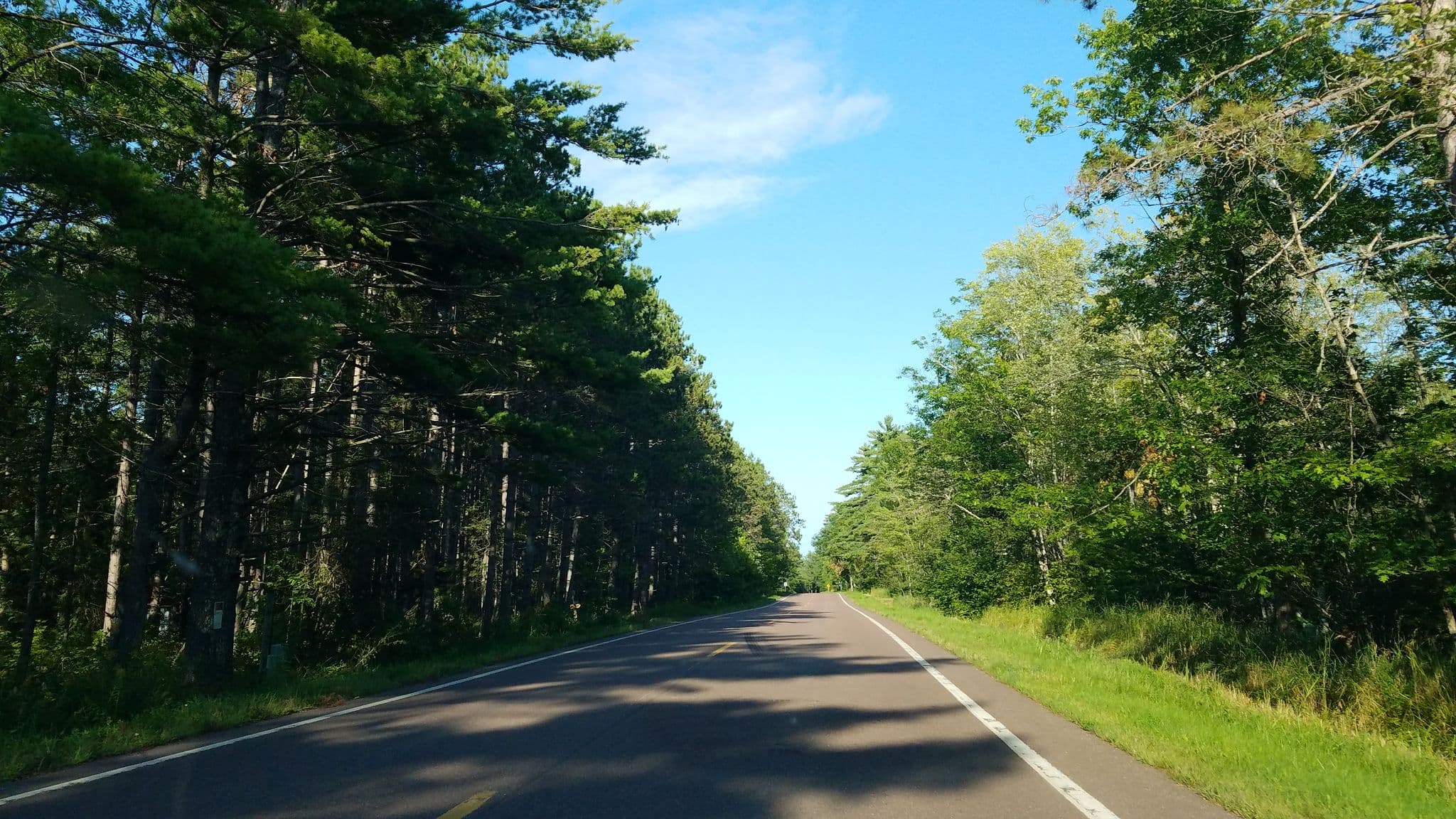 Street view near Island fox, Washburn — © noliver (CC BY-SA · Mapillary)